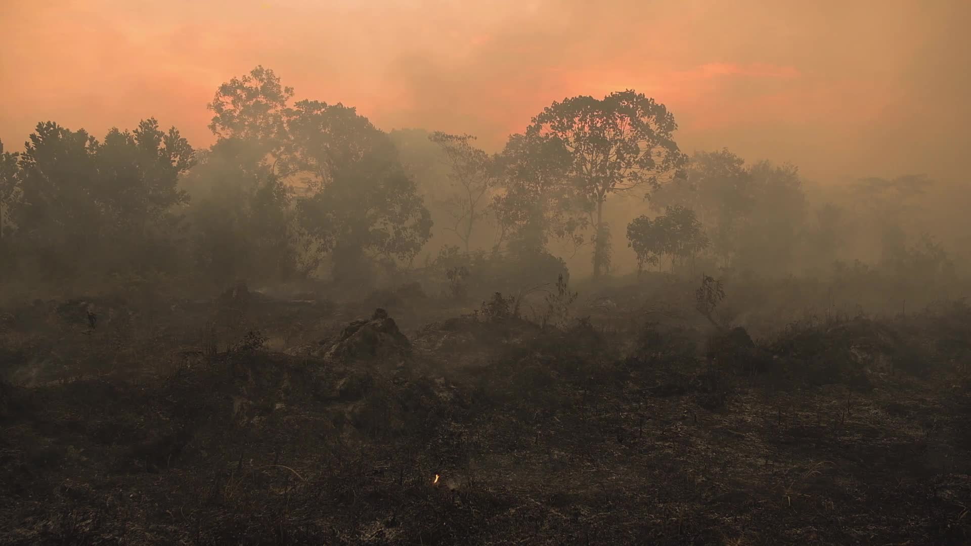 Riau Attempt To Extinguish Forest Fires