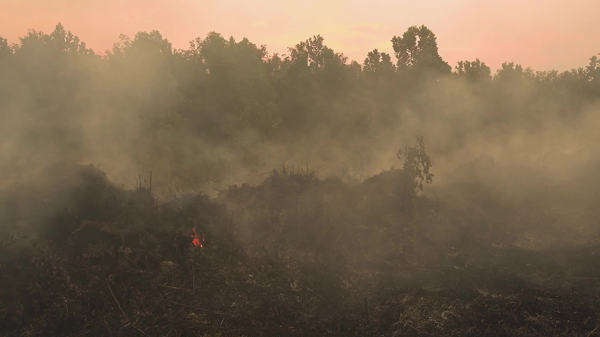 Riau Attempt To Extinguish Forest Fires