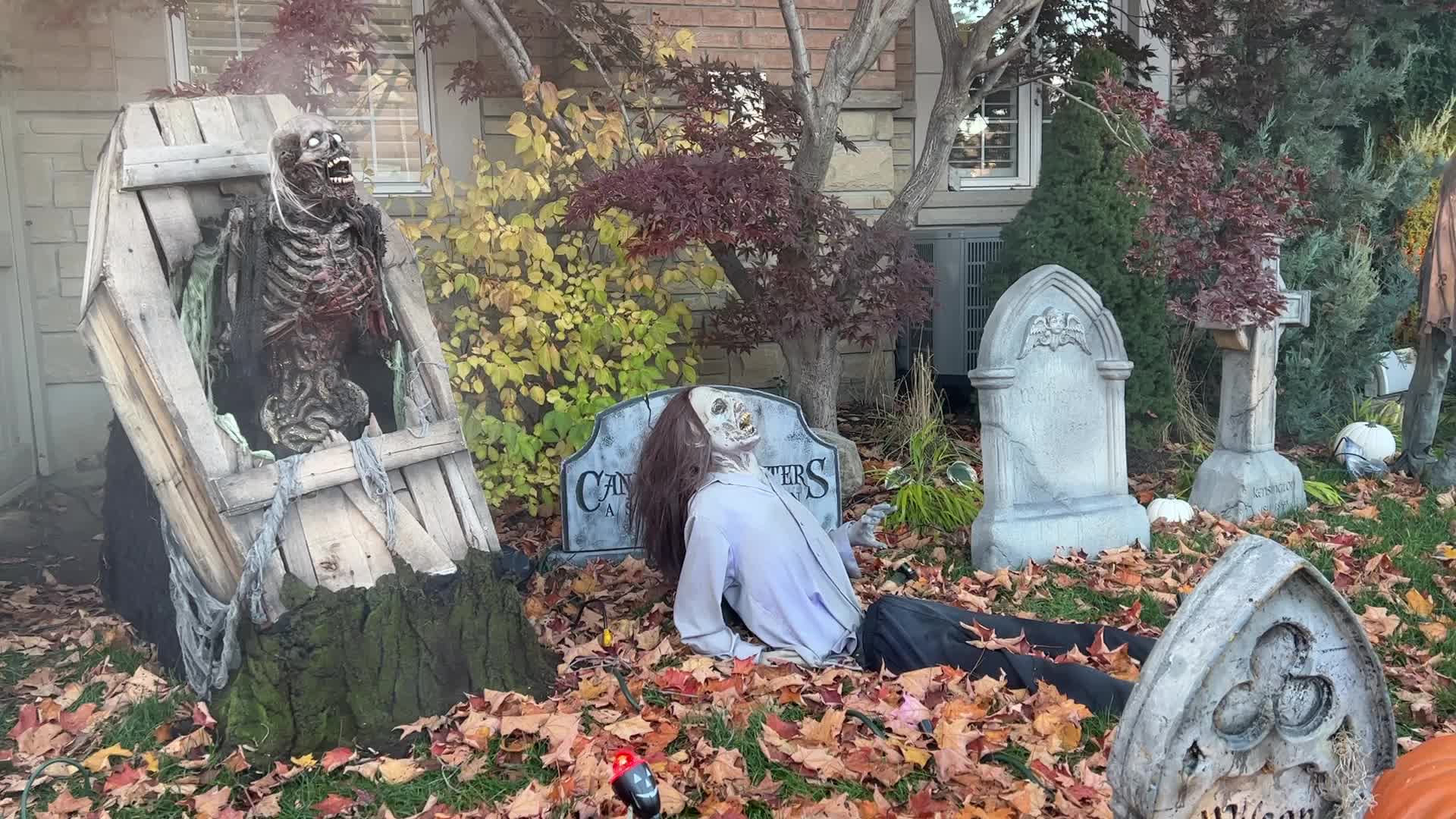 Halloween Night in Vaughan 