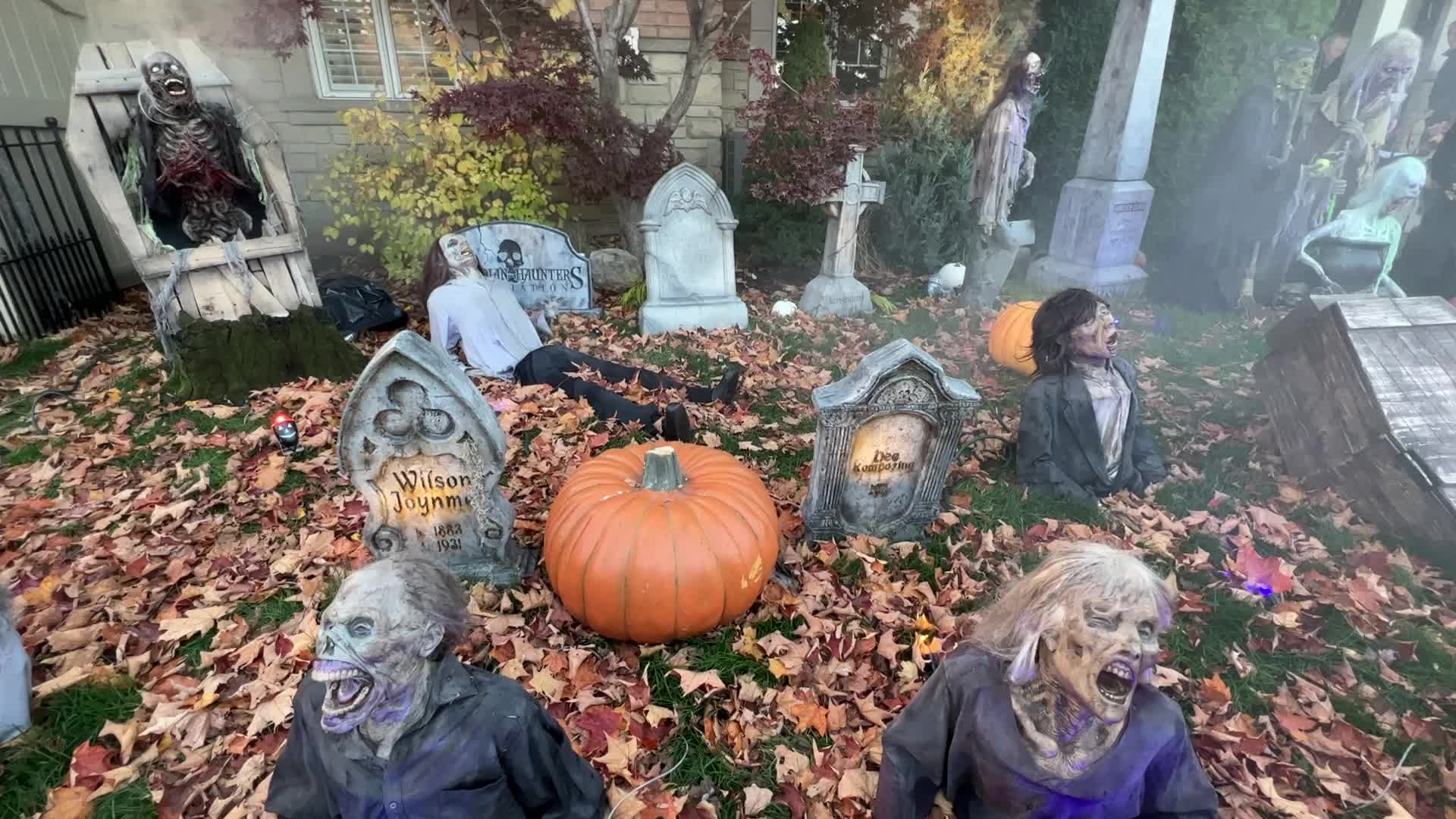 Halloween Night in Vaughan 