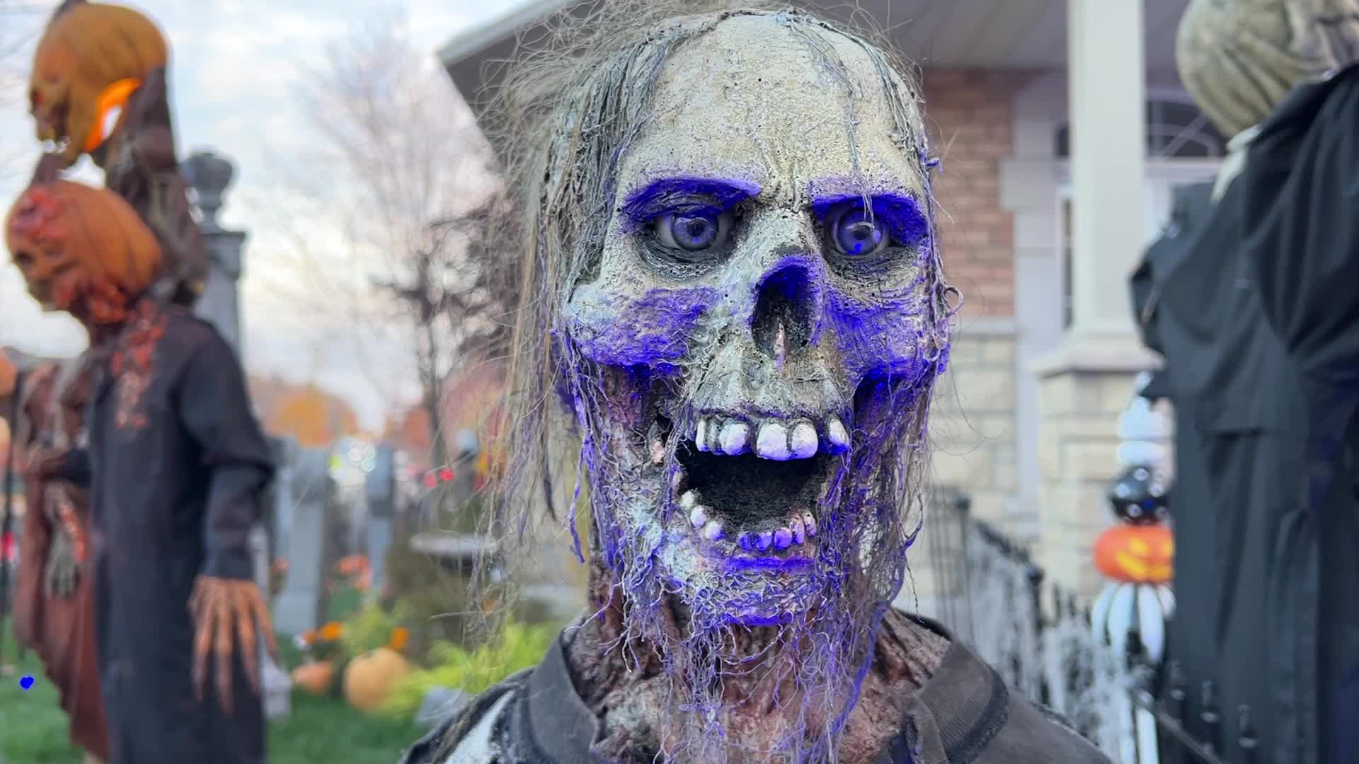 Halloween Night in Vaughan 