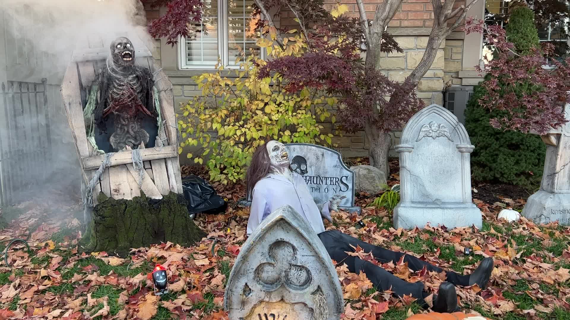 Halloween Night in Vaughan 