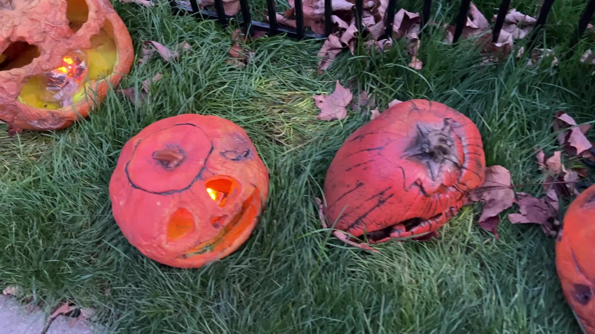 Halloween Night in Vaughan 