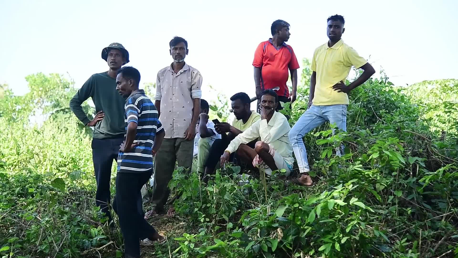 Forest officials providing treatment and food to the injured wild elephants in India 