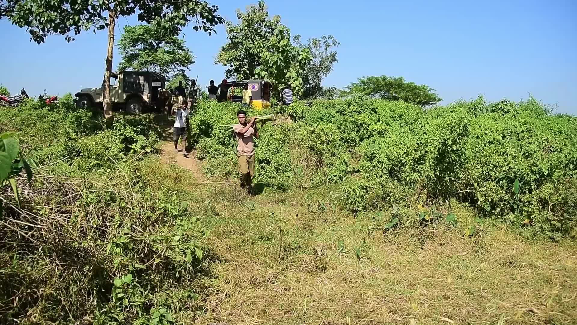 Forest officials providing treatment and food to the injured wild elephants in India 