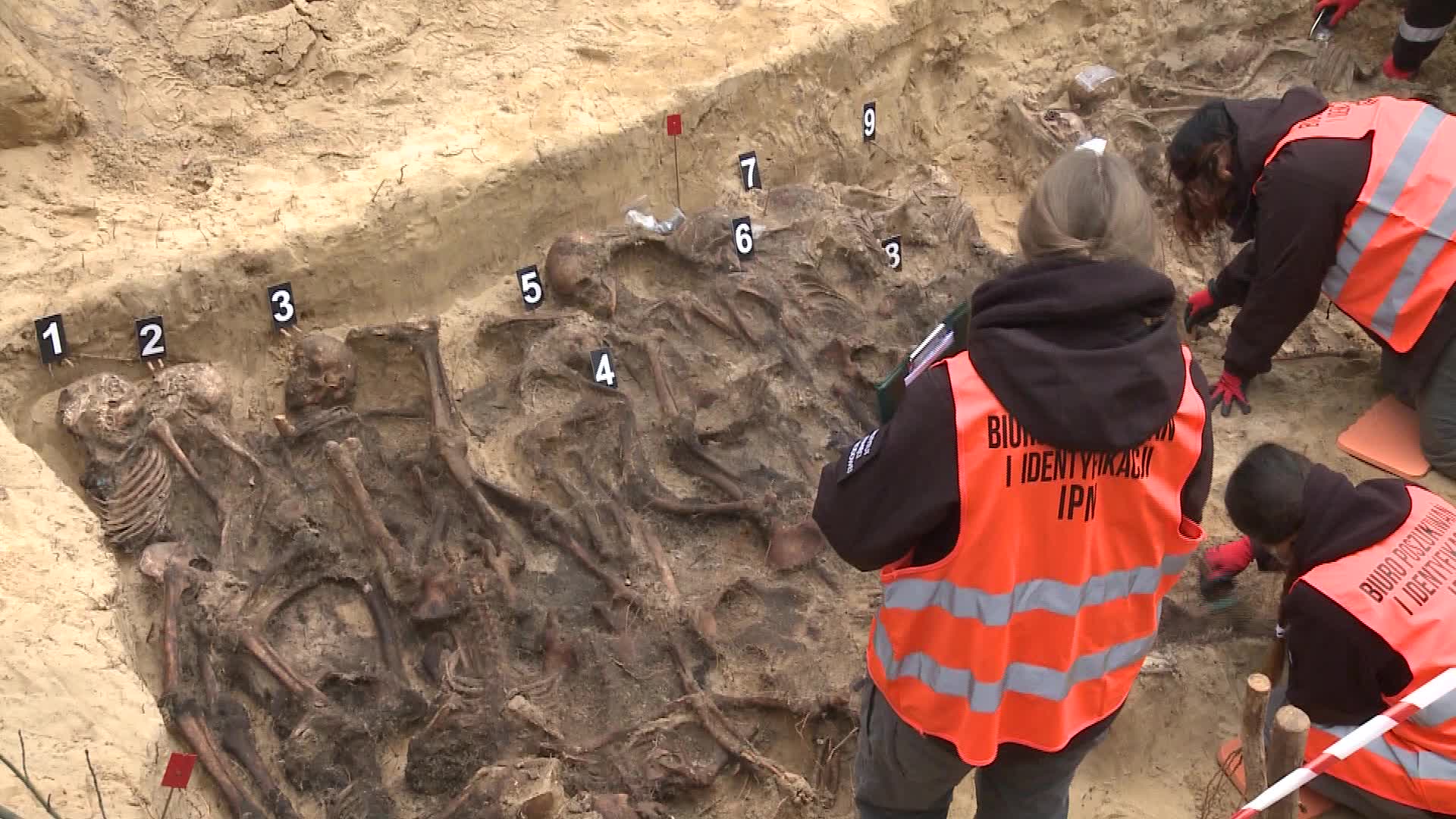 Dozens of skeletons discovered in Nazi mass grave in Warsaw suburb