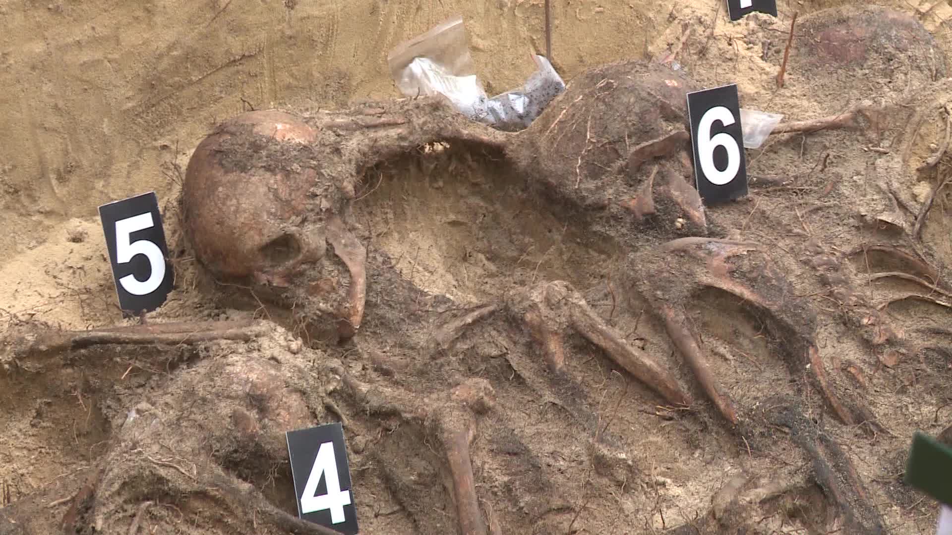 Dozens of skeletons discovered in Nazi mass grave in Warsaw suburb