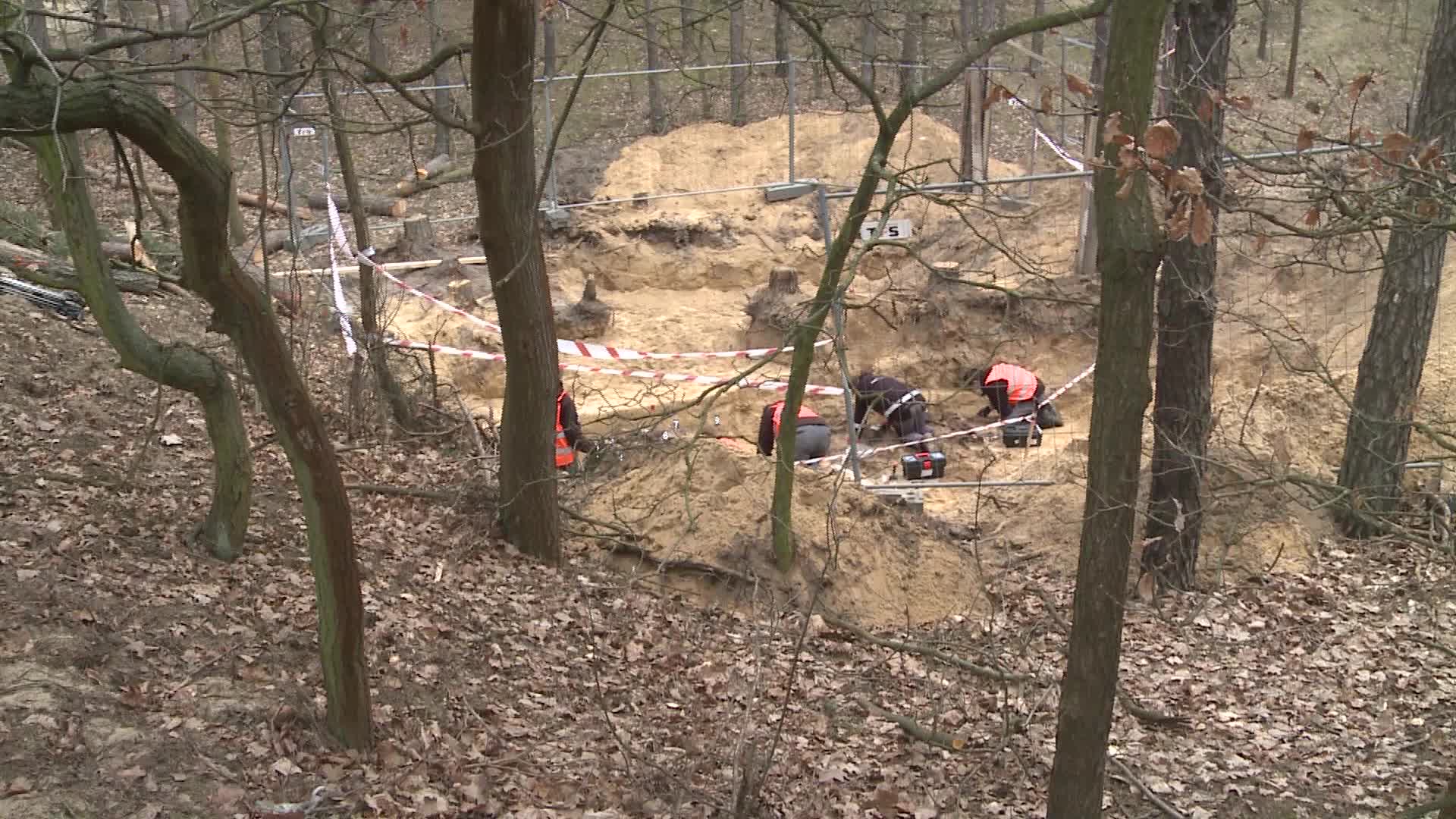 Dozens of skeletons discovered in Nazi mass grave in Warsaw suburb