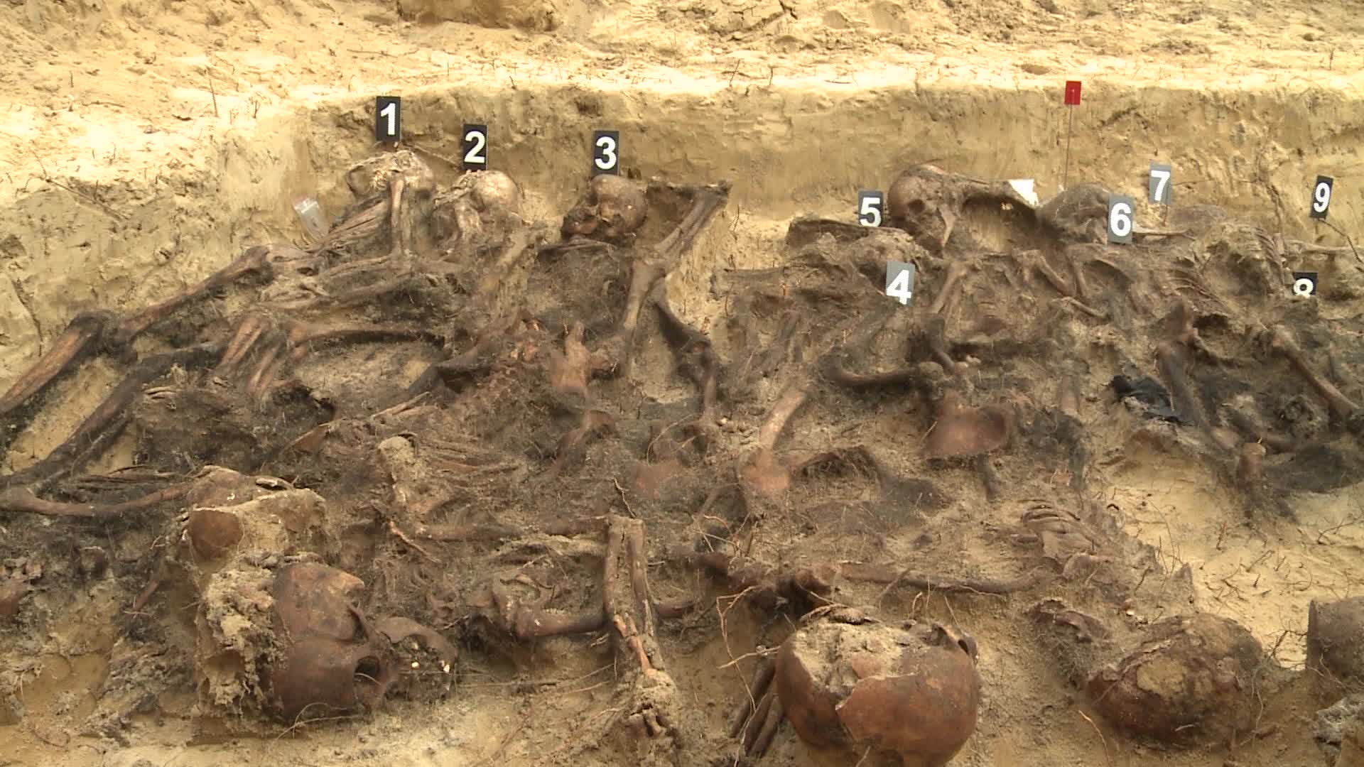 Dozens of skeletons discovered in Nazi mass grave in Warsaw suburb