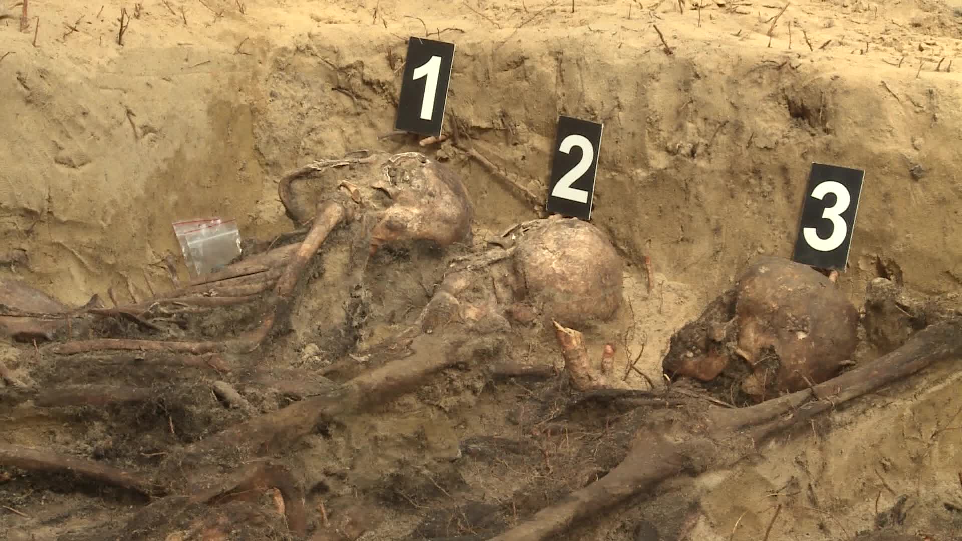 Dozens of skeletons discovered in Nazi mass grave in Warsaw suburb
