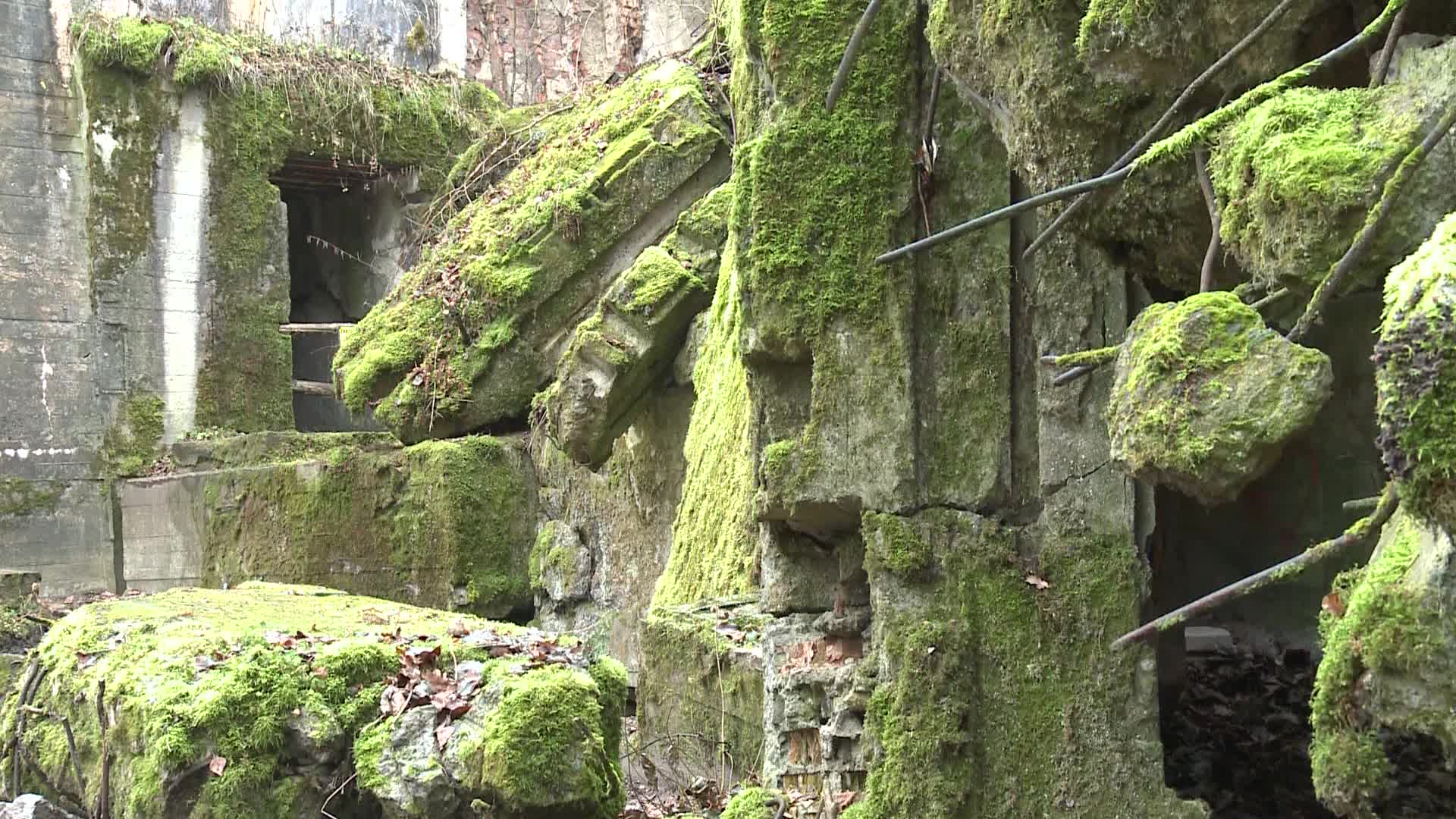 Wolf’s Lair - a Hitler’s HQ during WWII