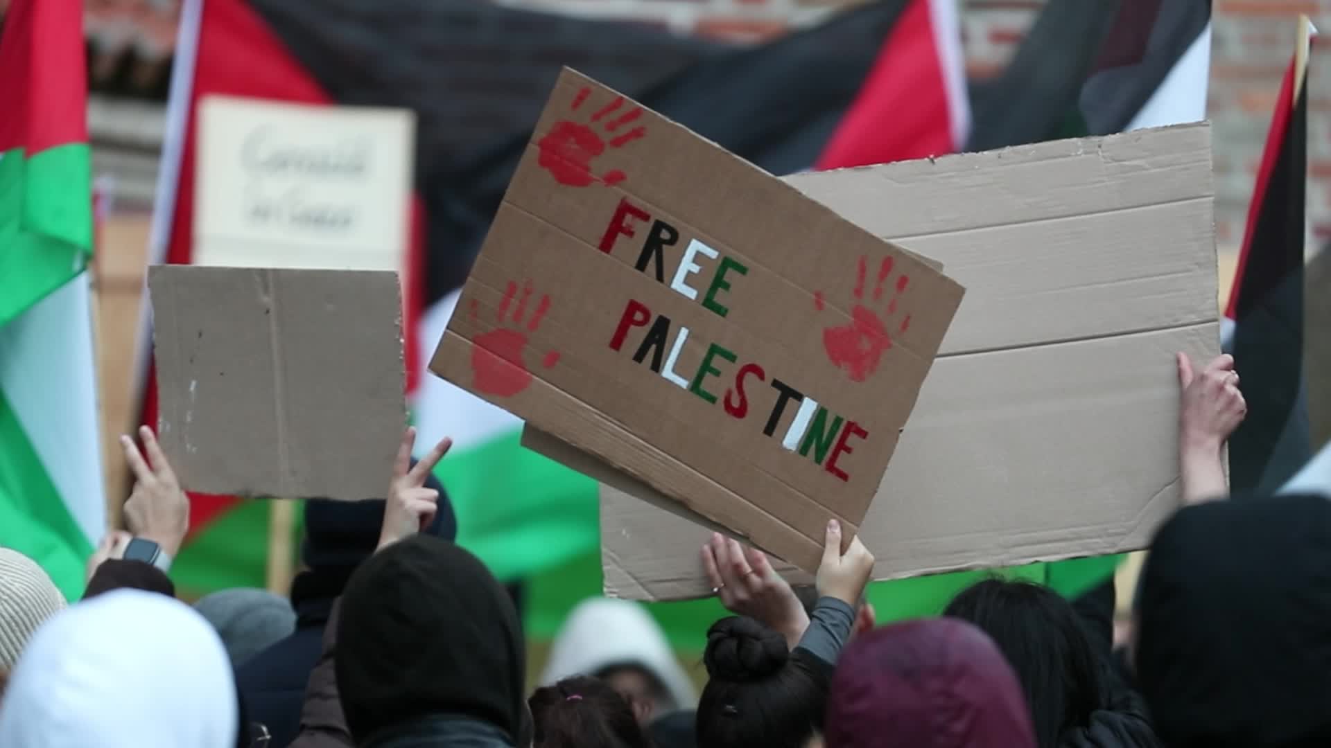 Pro Palestinian rally in Landshut, Germany