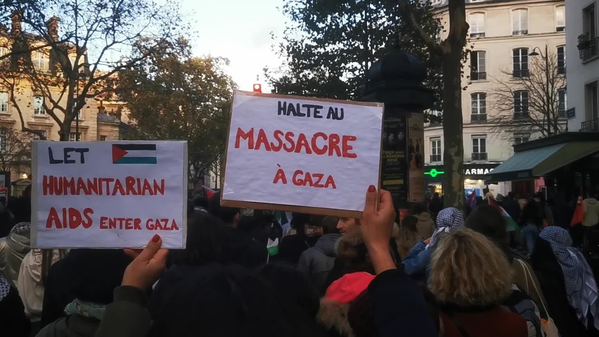 Pro Palestinian demonstration in Paris