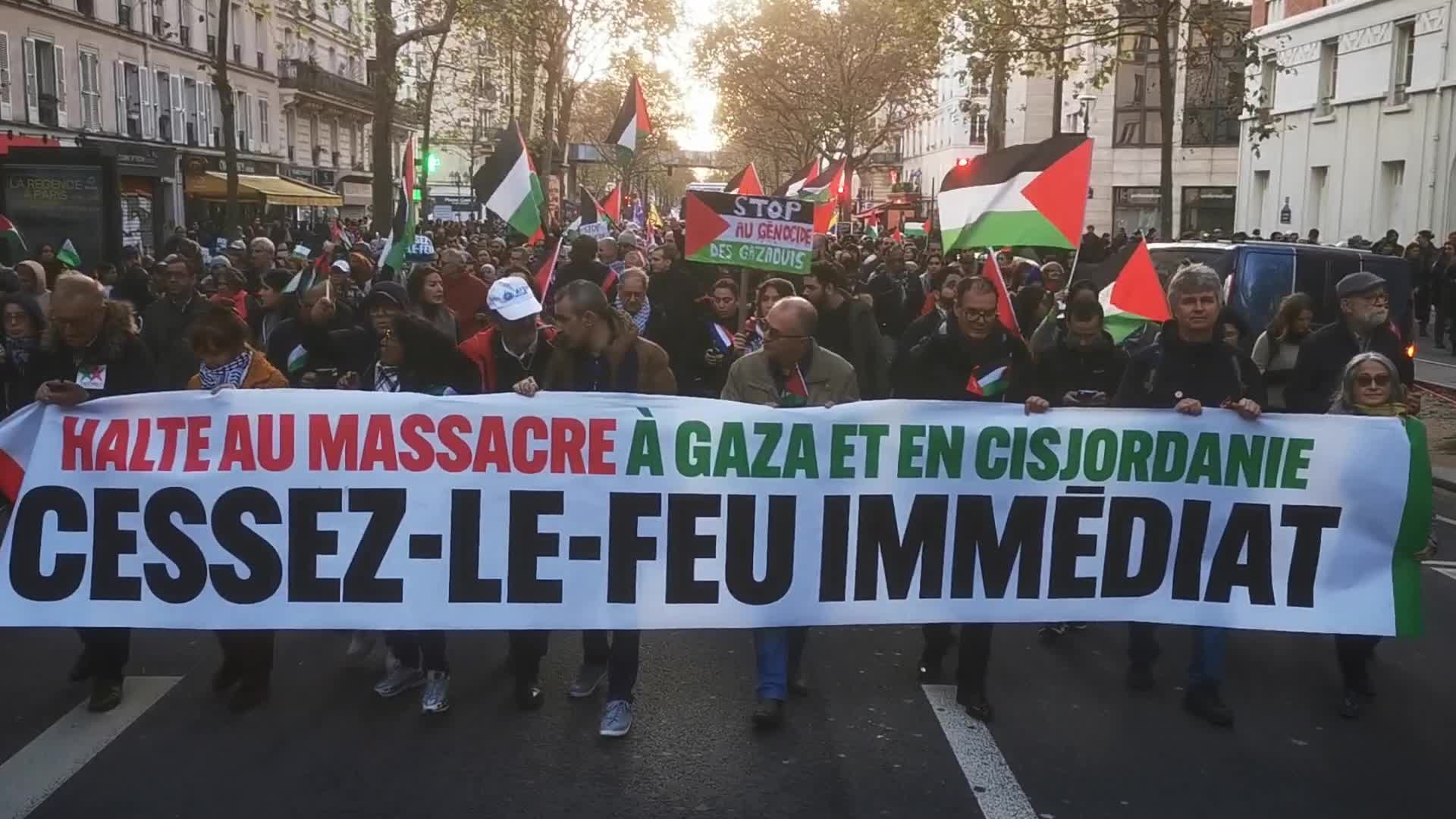 Pro Palestinian demonstration in Paris