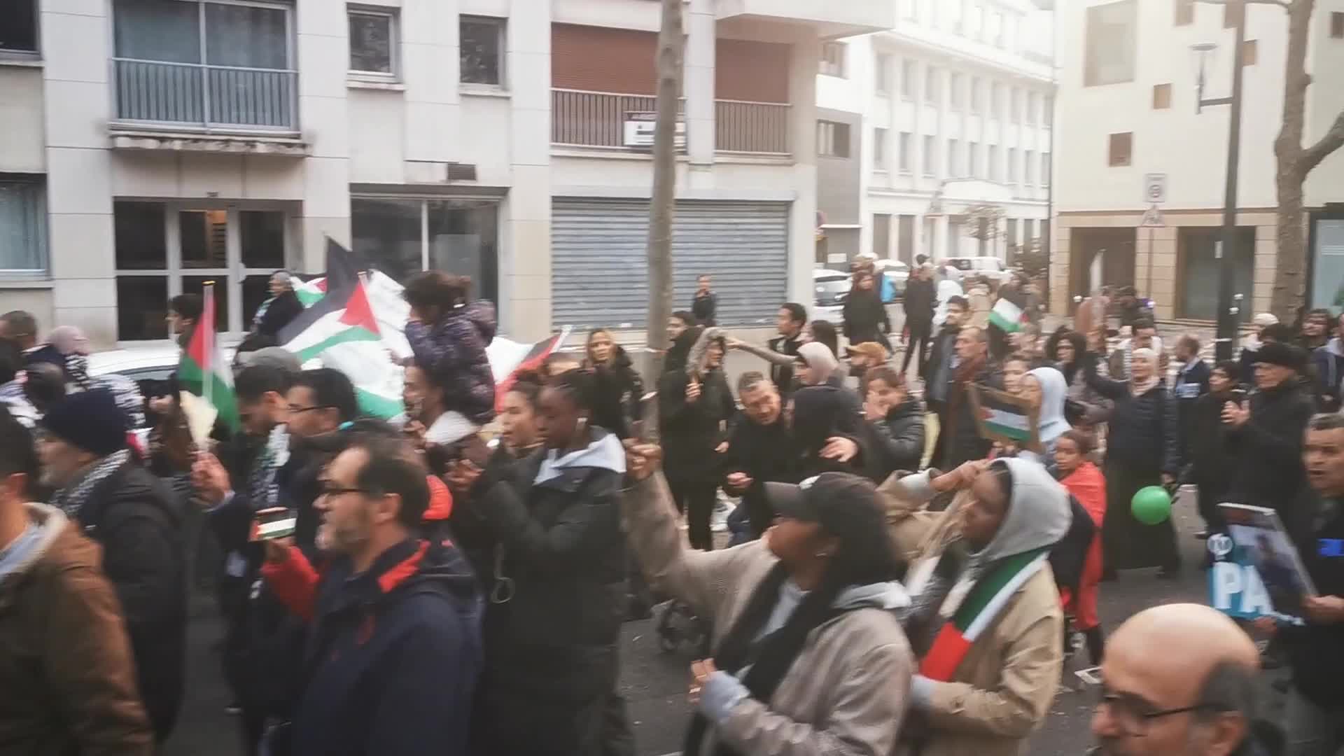 Pro Palestinian demonstration in Paris