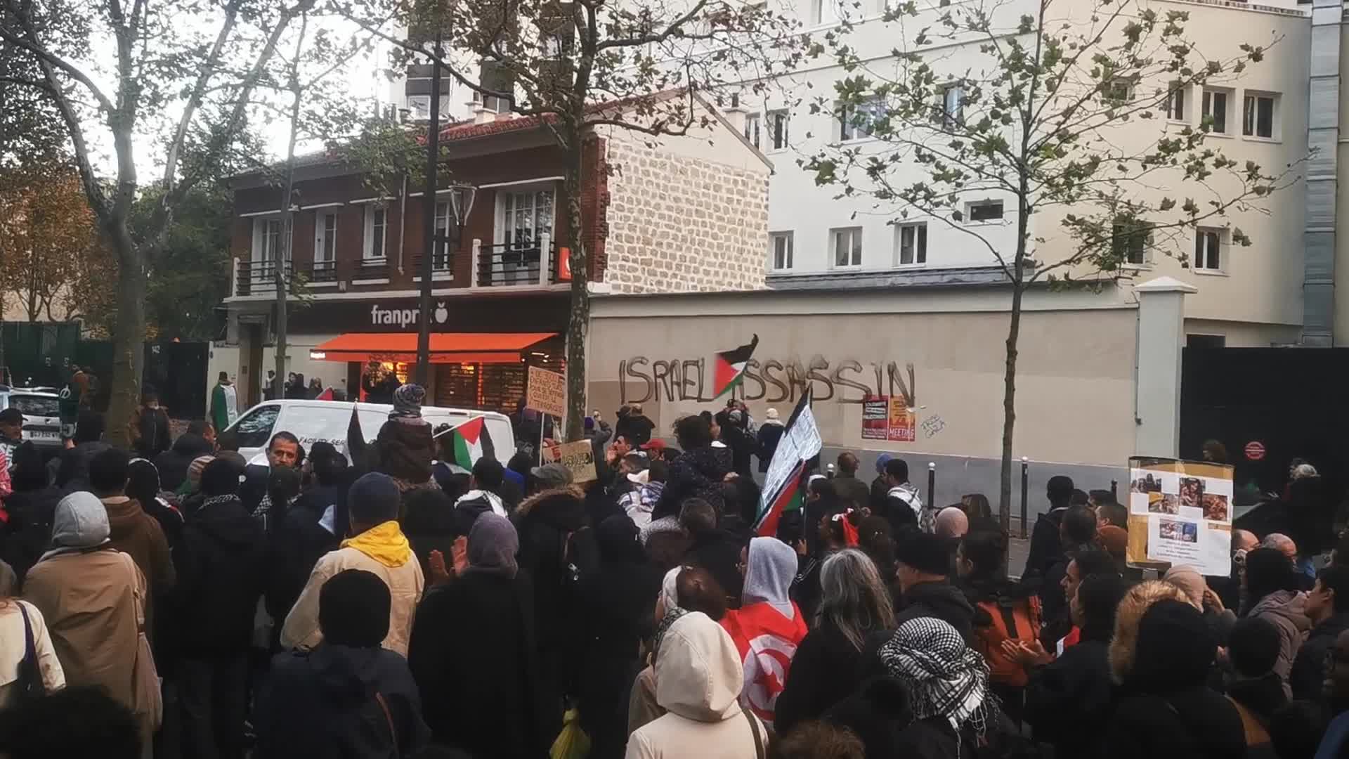 Pro Palestinian demonstration in Paris