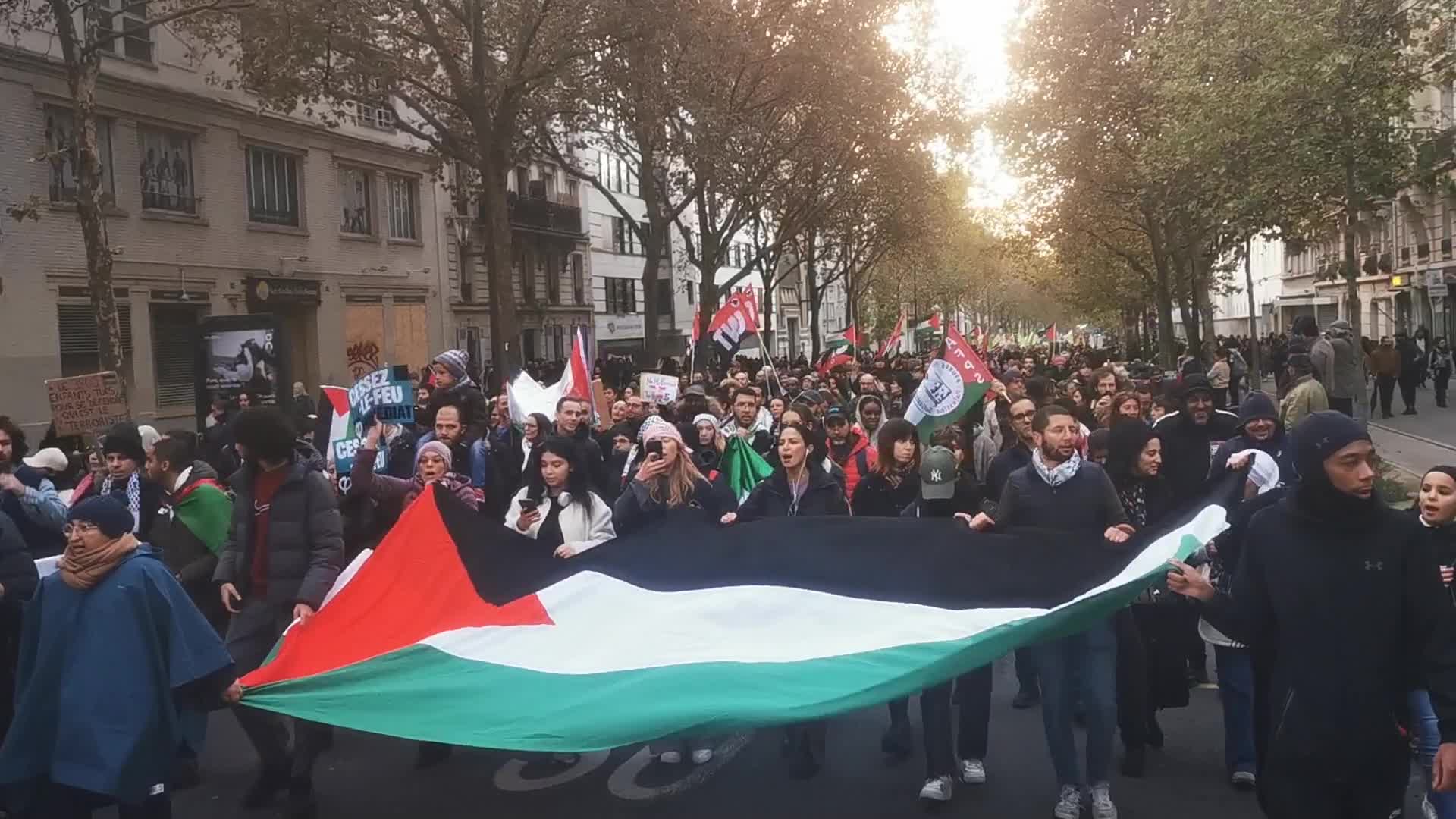 Pro Palestinian demonstration in Paris