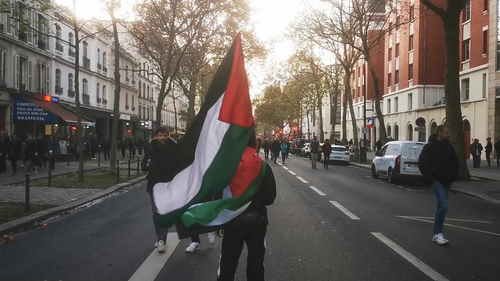 Pro Palestinian demonstration in Paris