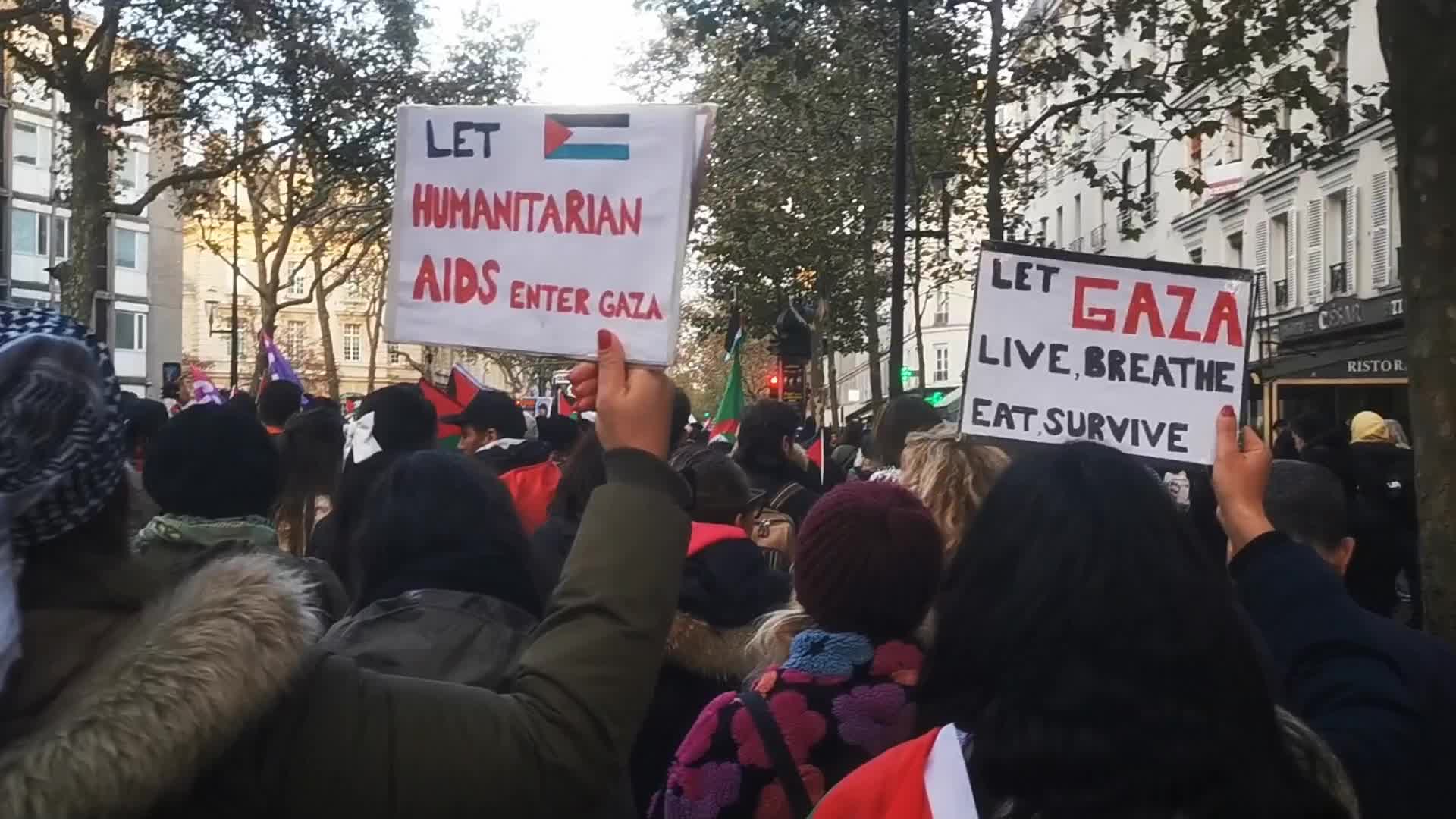 Pro Palestinian demonstration in Paris