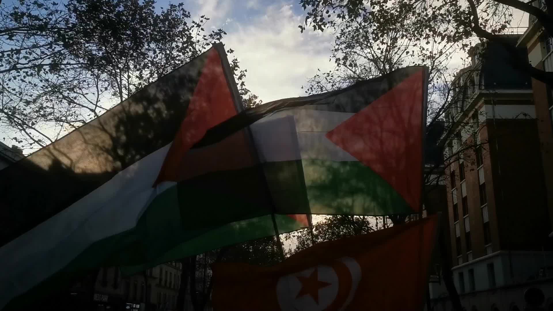 Pro Palestinian demonstration in Paris
