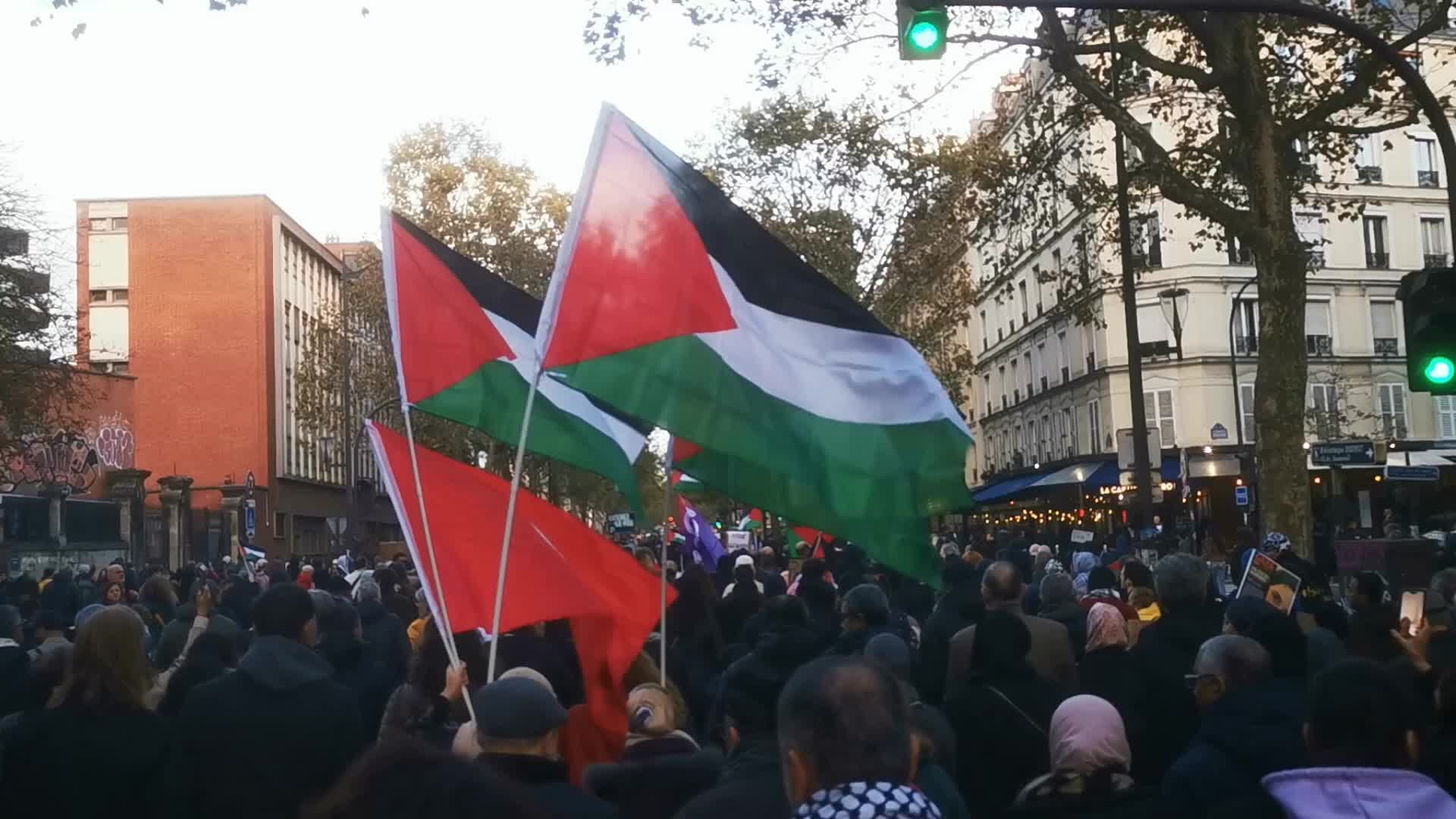 Pro Palestinian demonstration in Paris