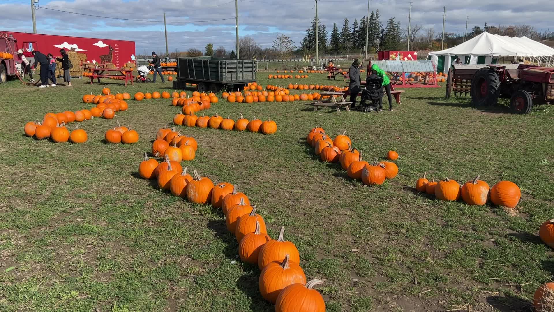 Autumn season in Markham
