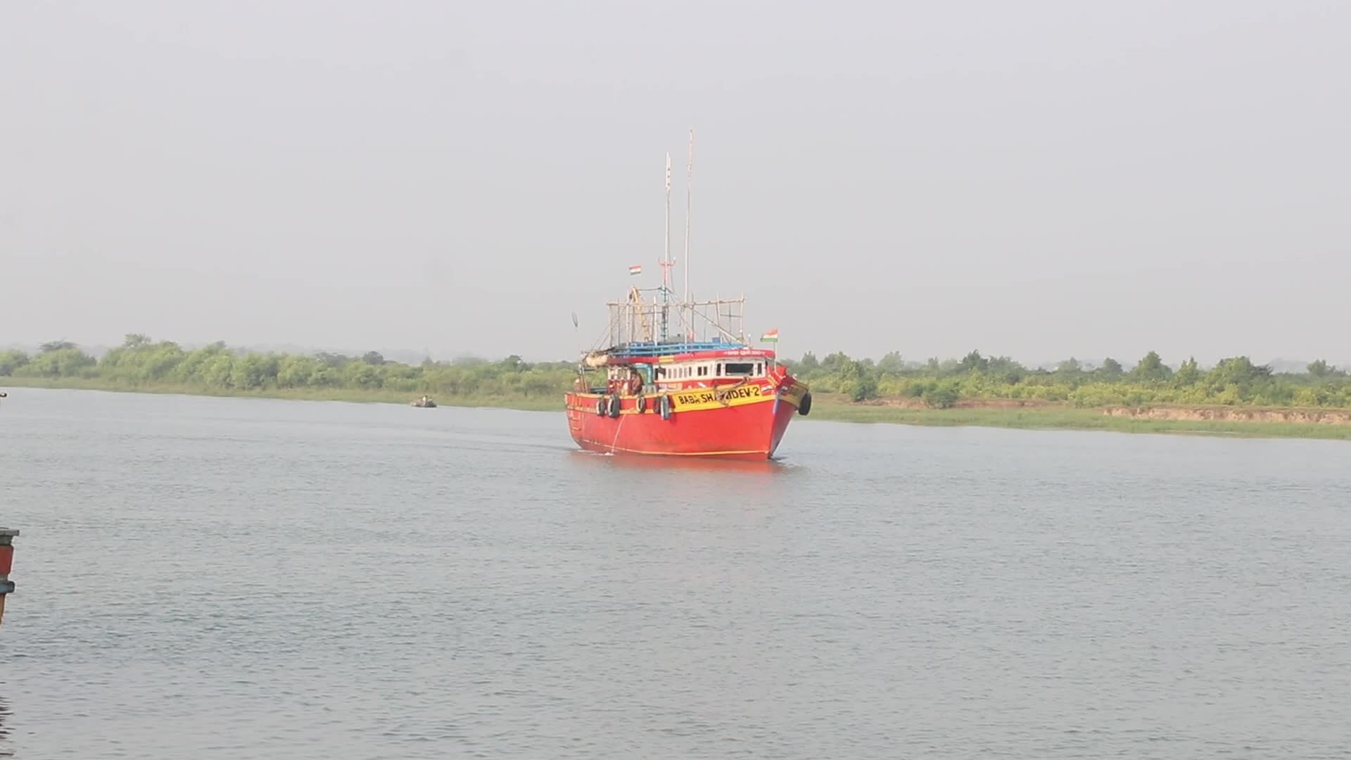 Wholesale Fish Market In Odisha, India
