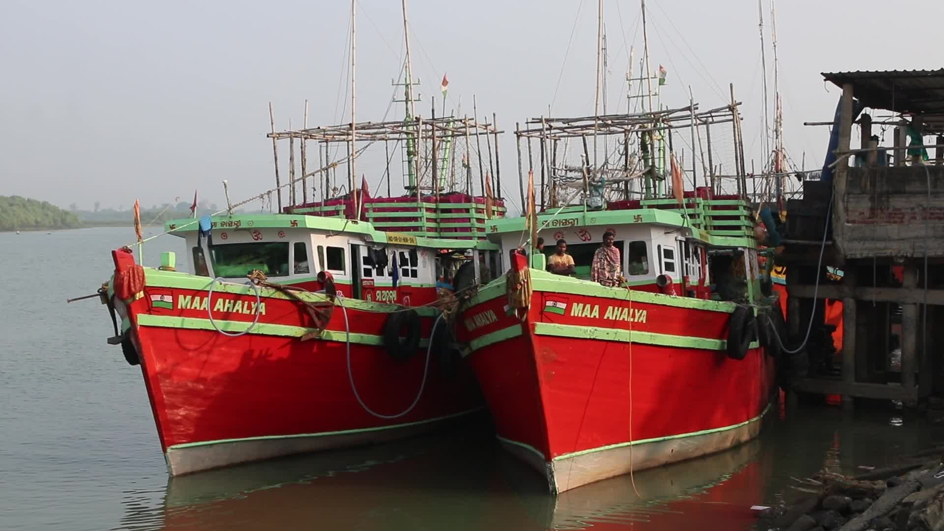 Wholesale Fish Market In Odisha, India
