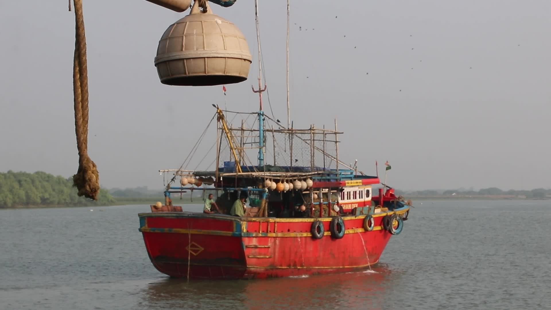 Wholesale Fish Market In Odisha, India