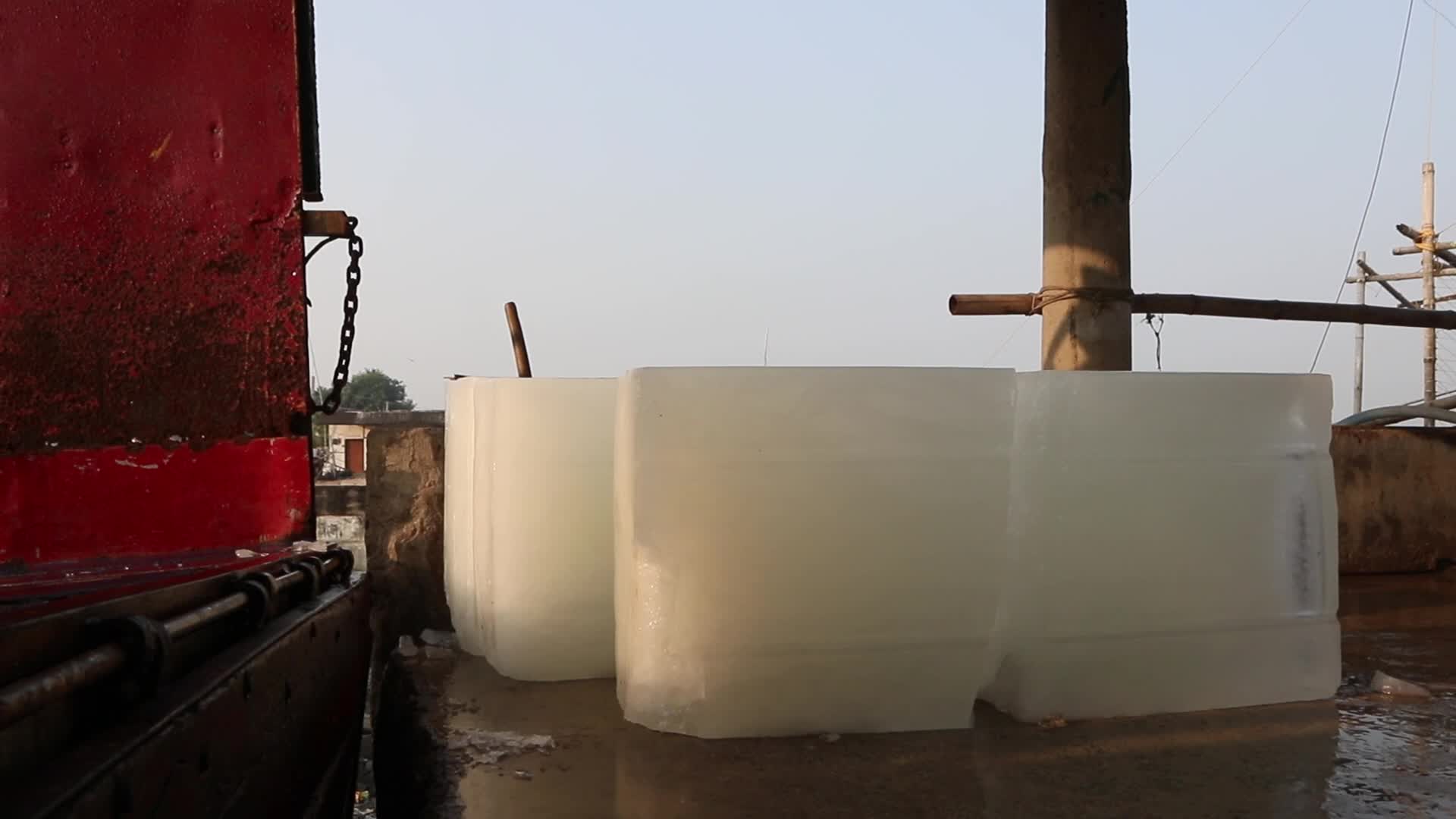 Wholesale Fish Market In Odisha, India