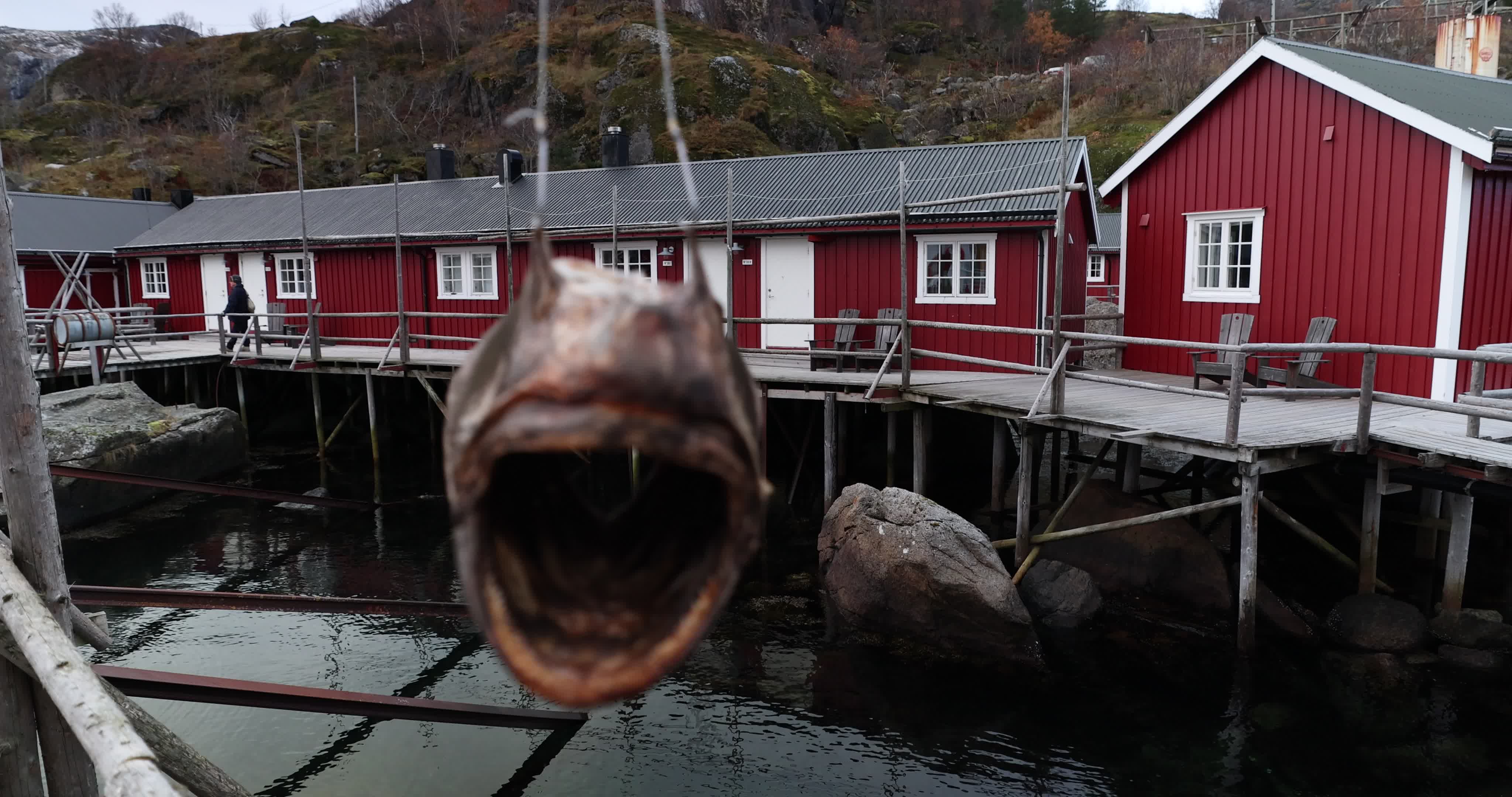 Nusfjord - Lofoten, Norway