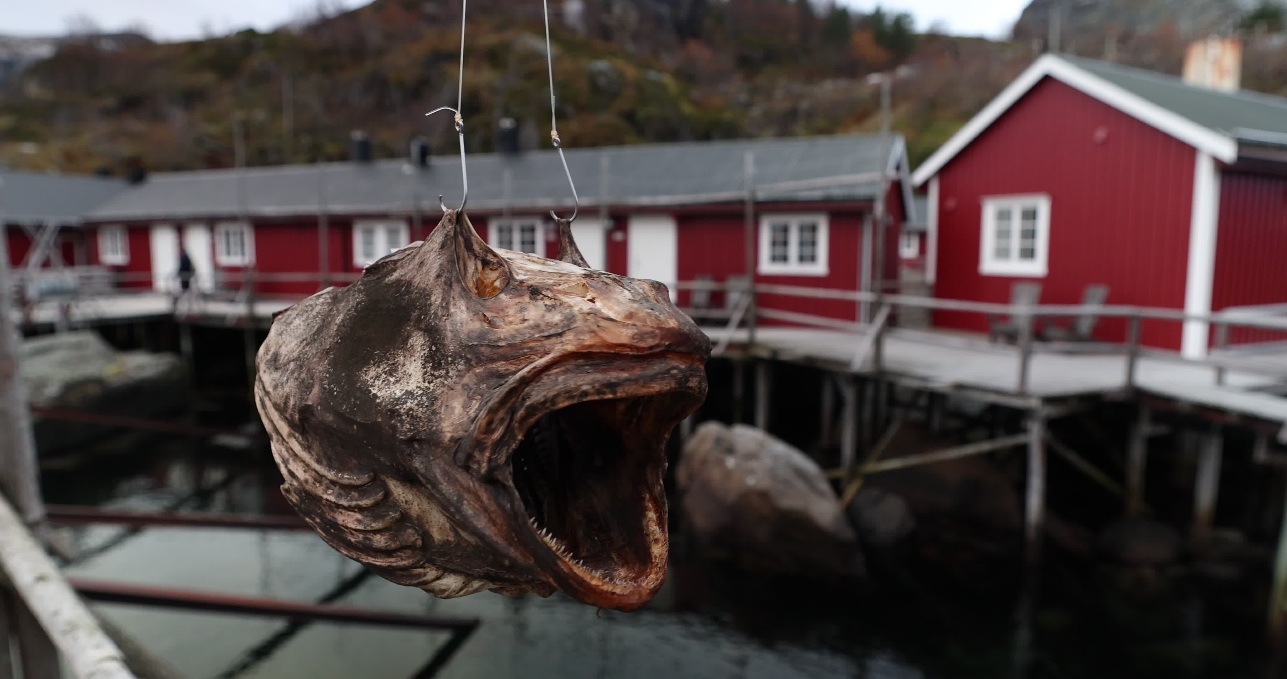 Nusfjord - Lofoten, Norway