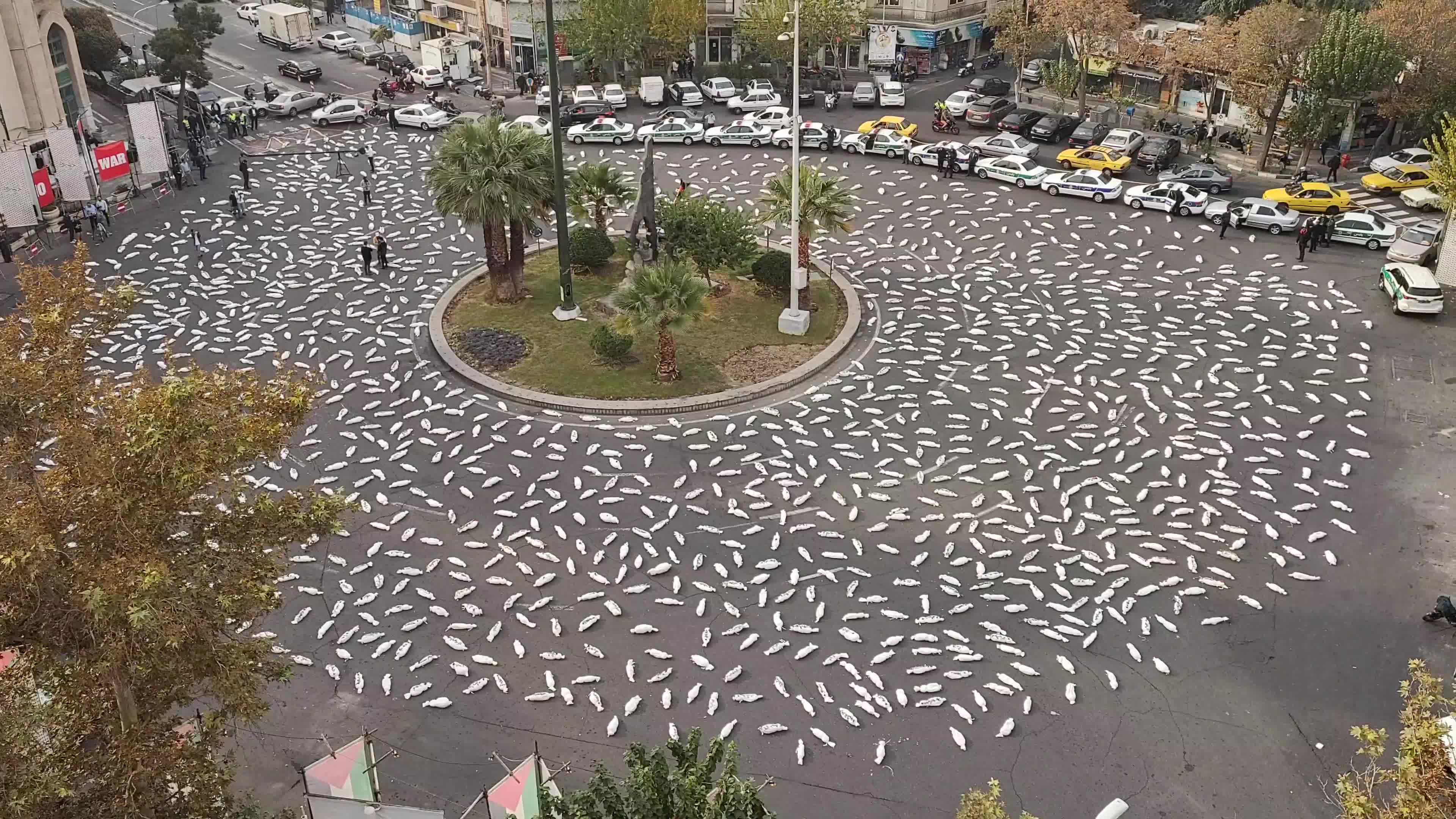 Anti-War Installation Art in Tehran