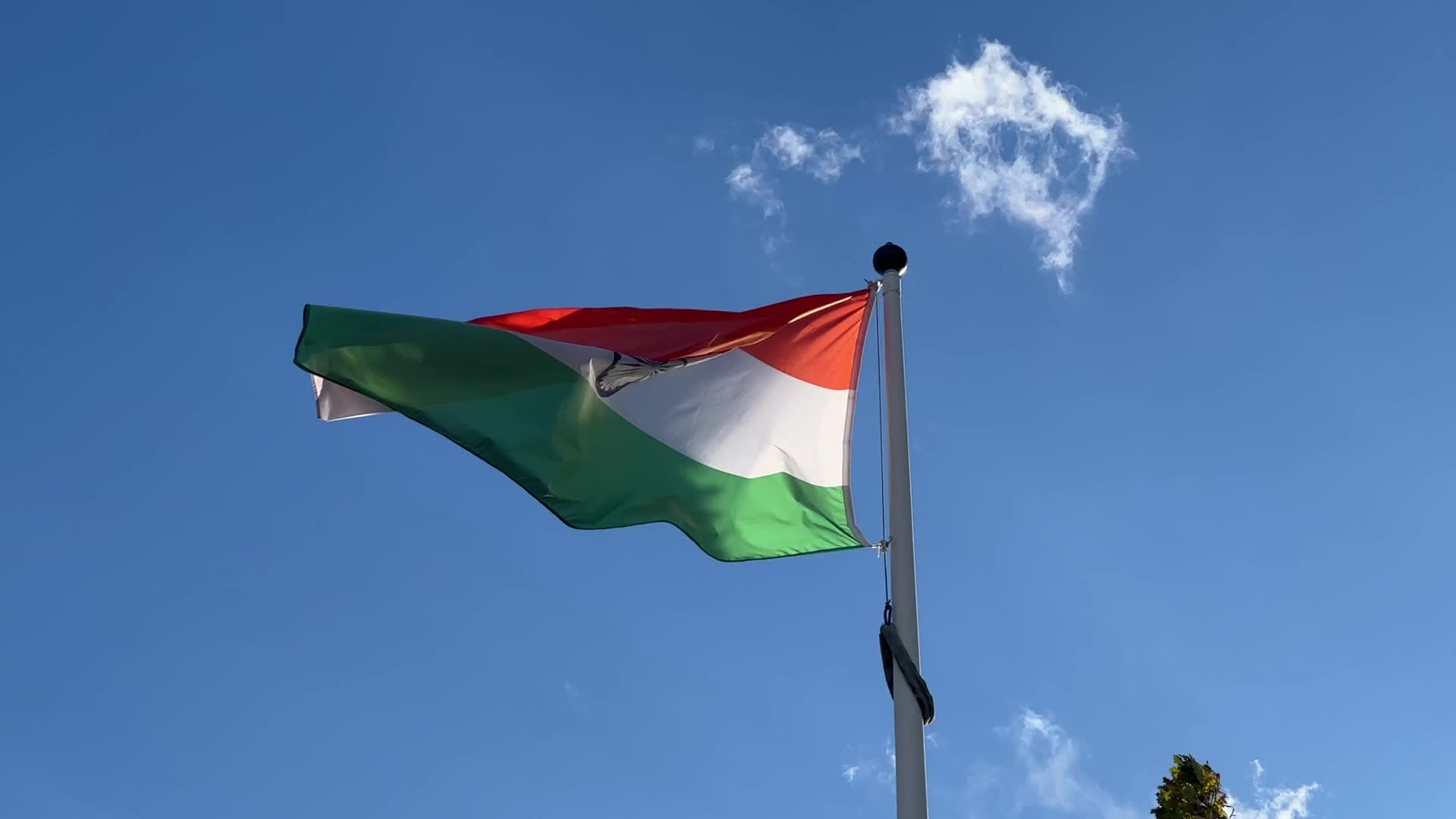 India flag