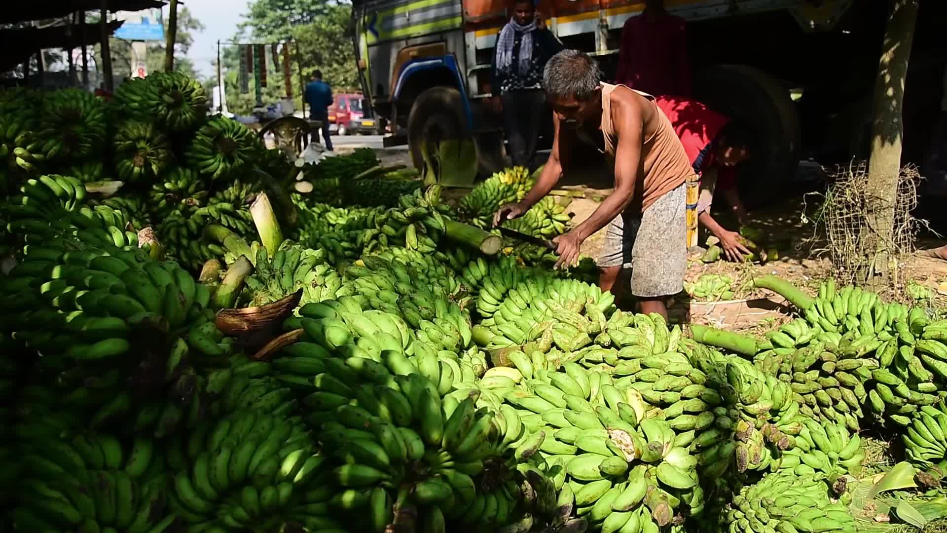 Asia's Largest Banana Market in India 