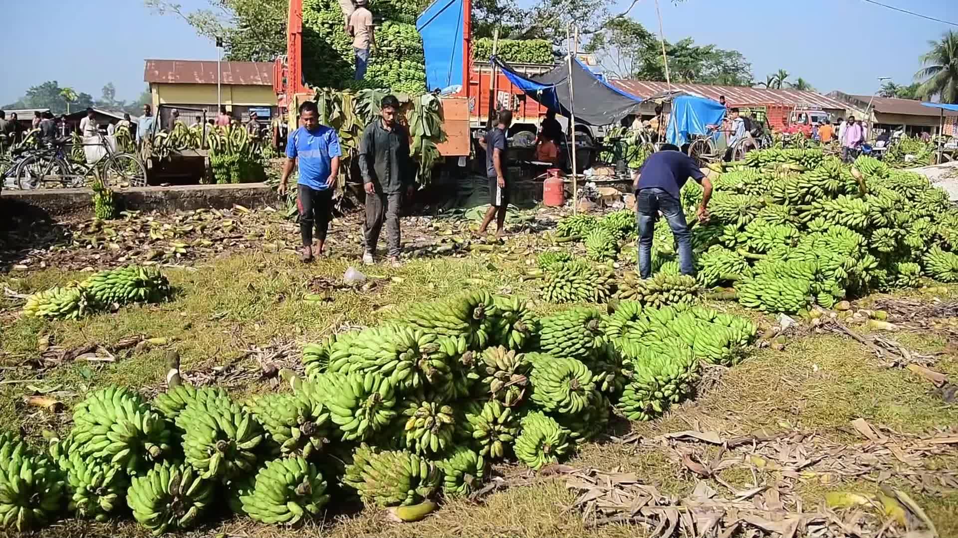 Asia's Largest Banana Market in India 