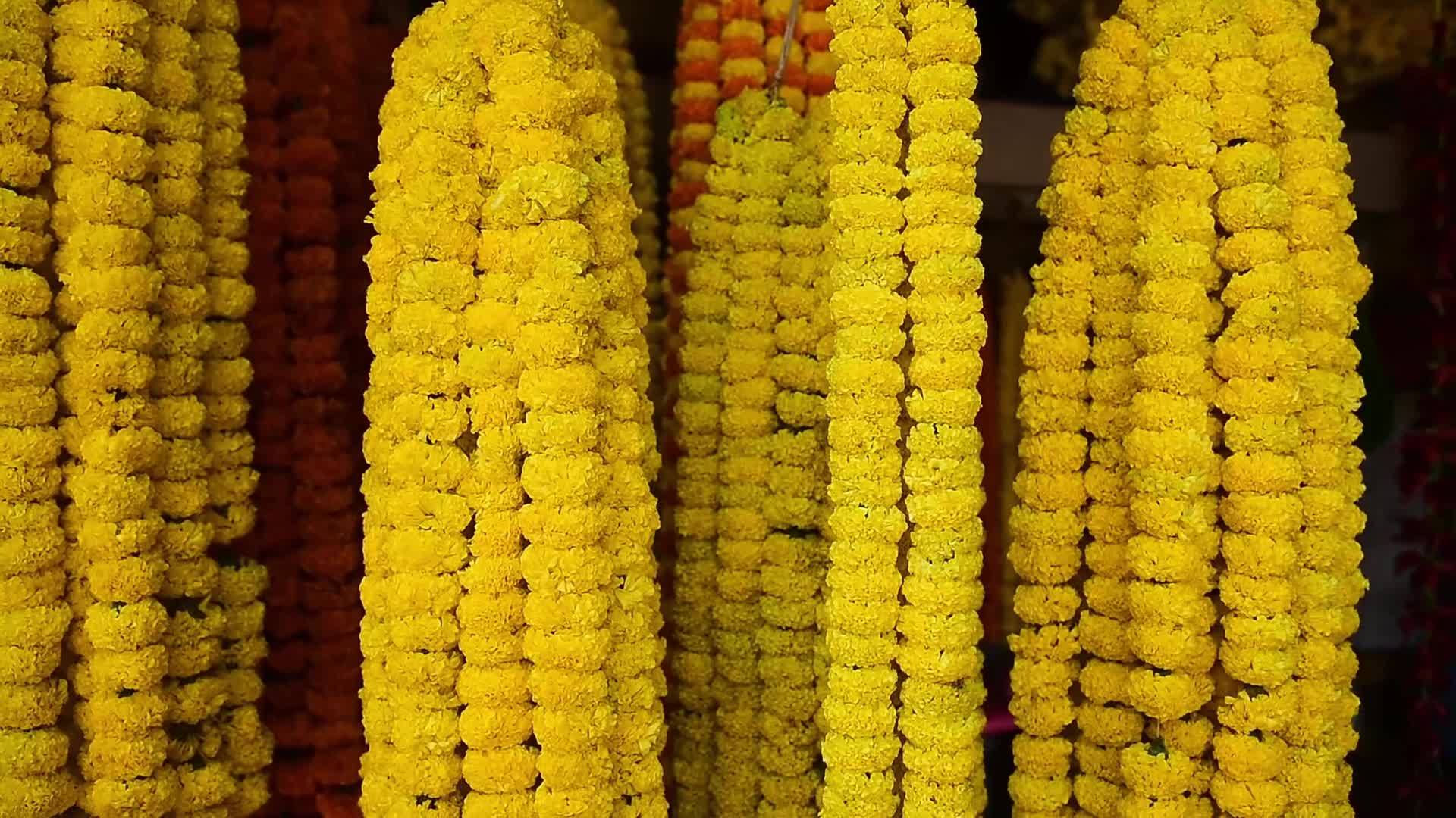 Diwali Festival In India