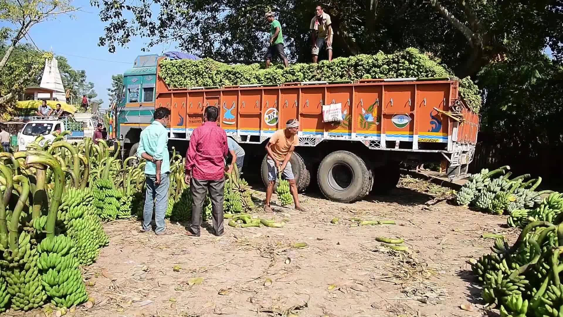 Asia's Largest Banana Market in India 