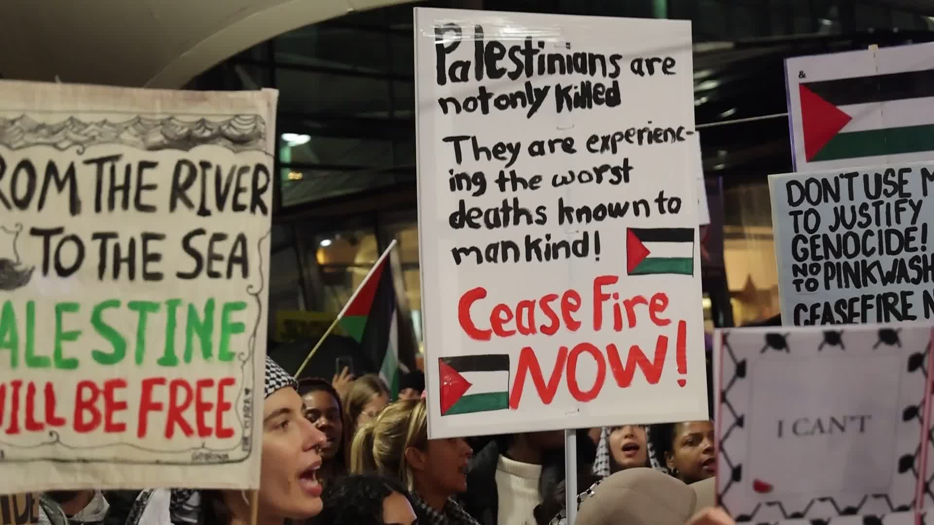  Pro-Palestinian protests at Amsterdam Schiphol Airport 