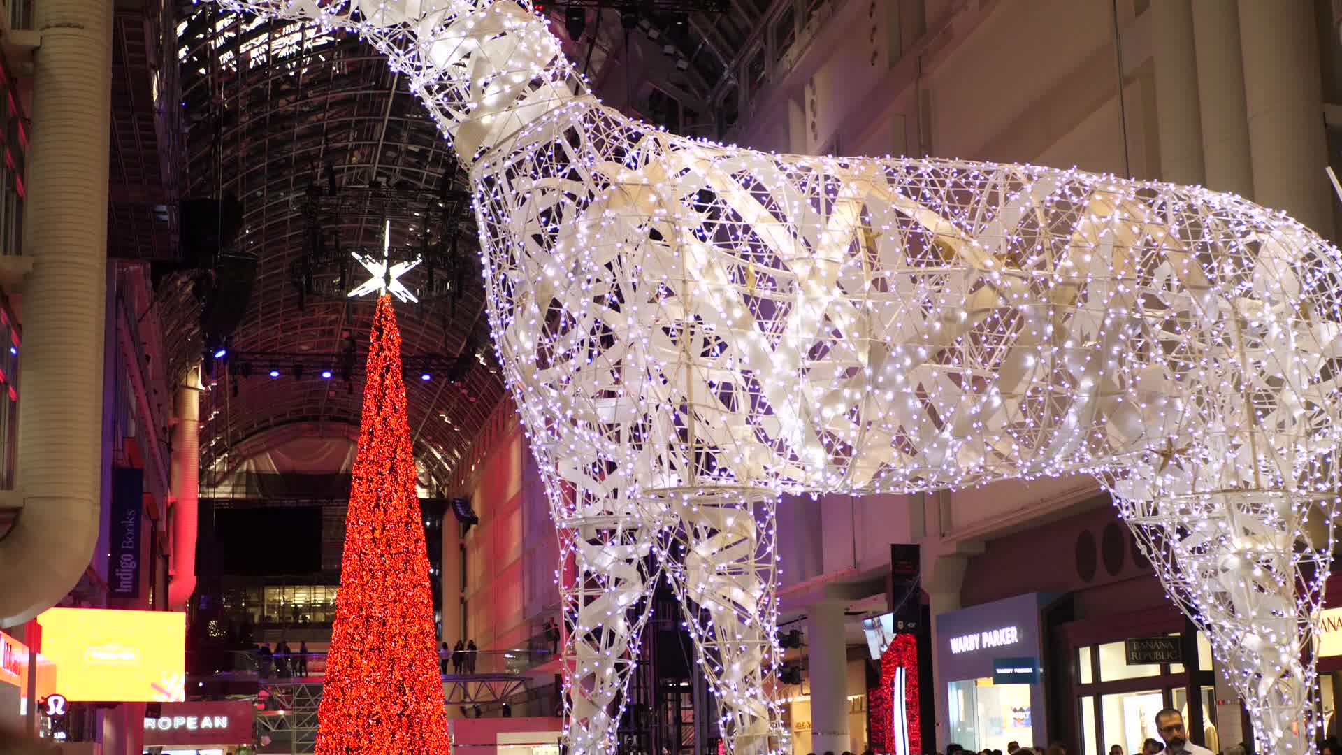 Christmas tree - Toronto, Canada