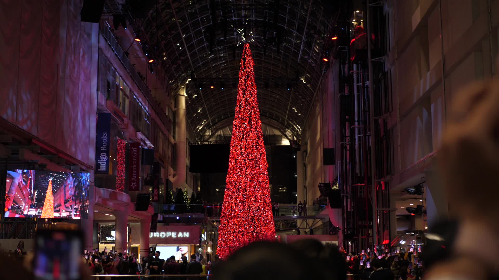 Christmas tree - Toronto, Canada