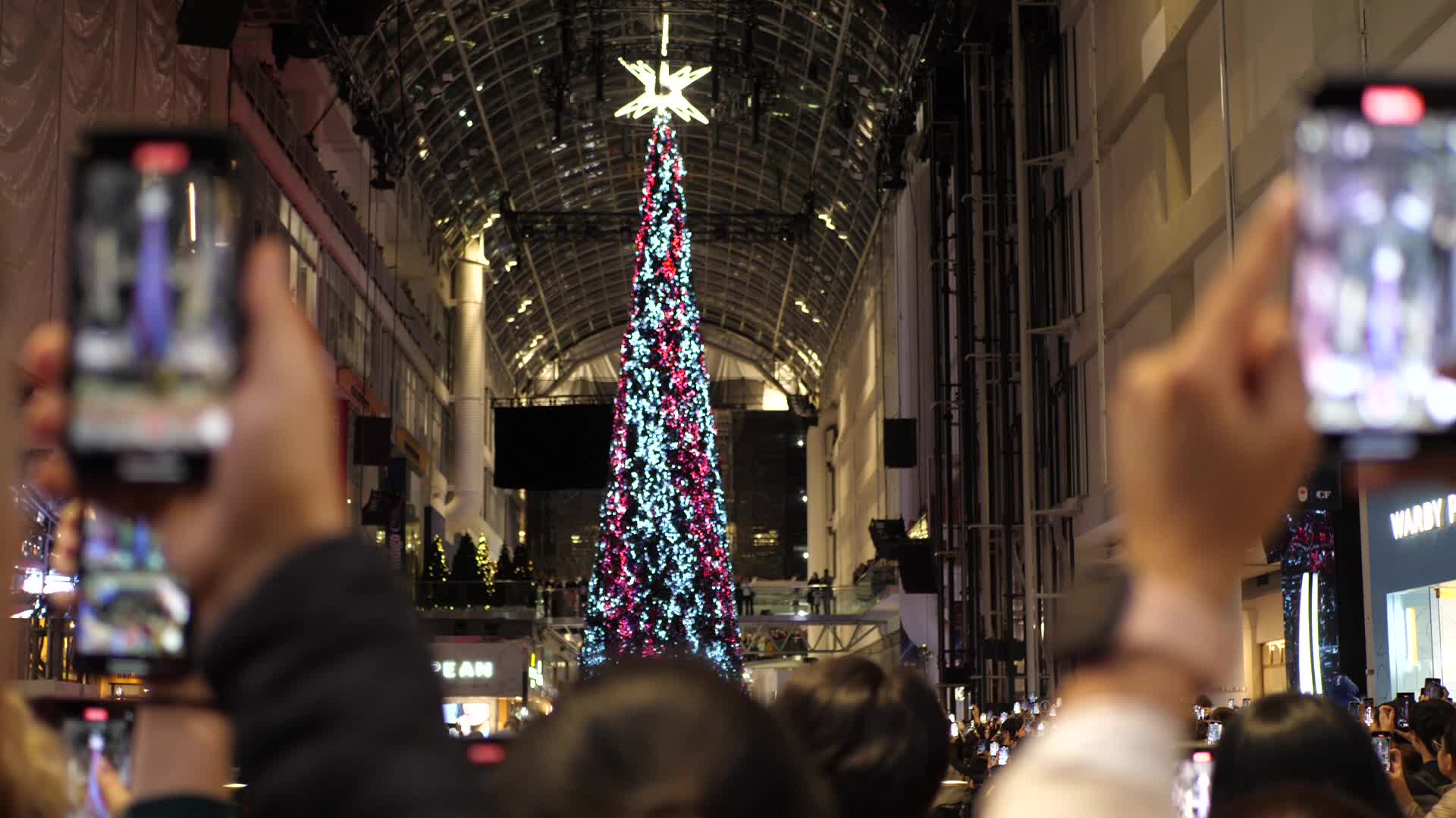 Christmas tree - Toronto, Canada