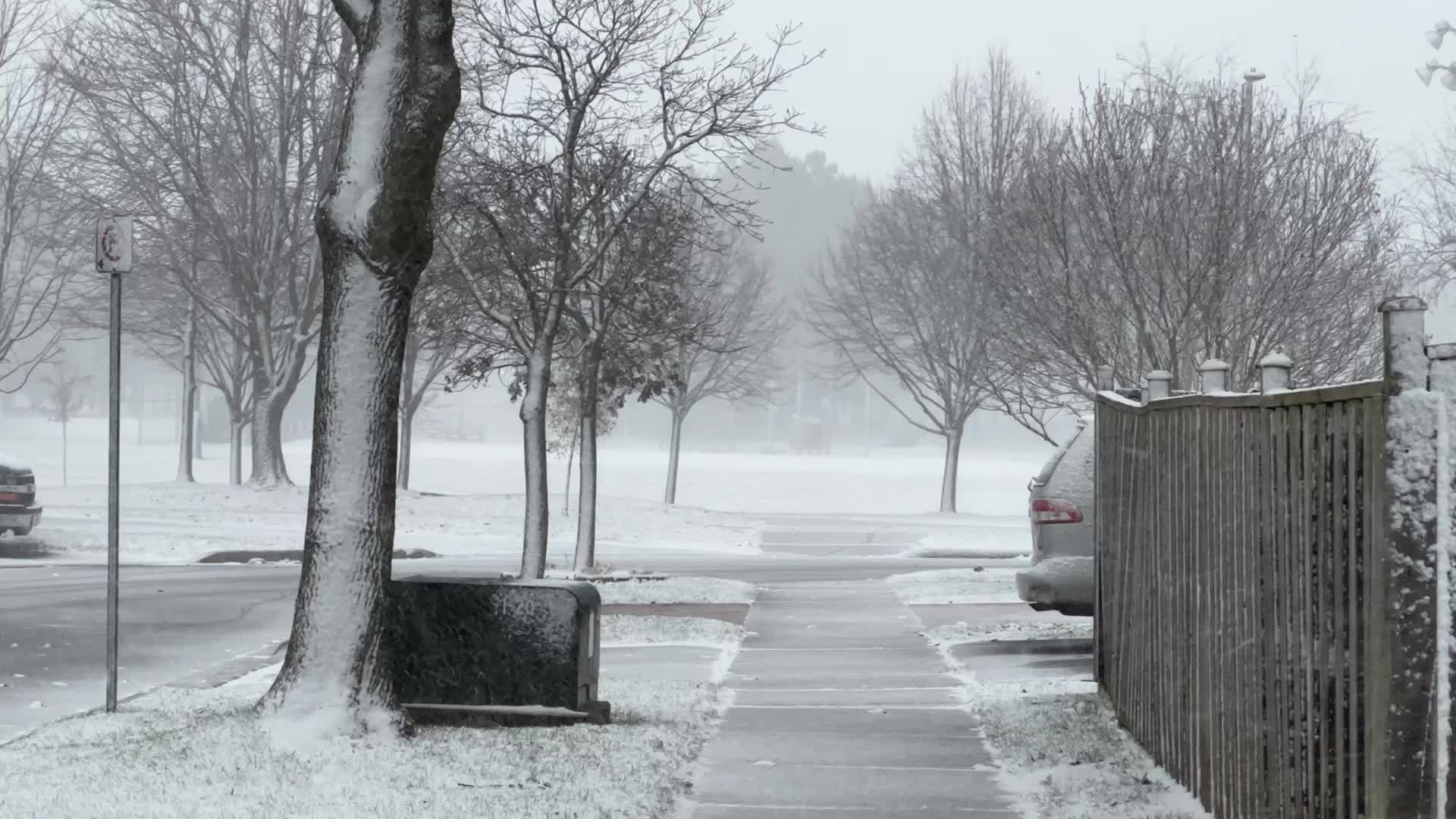 First snowfall of the season in Toronto