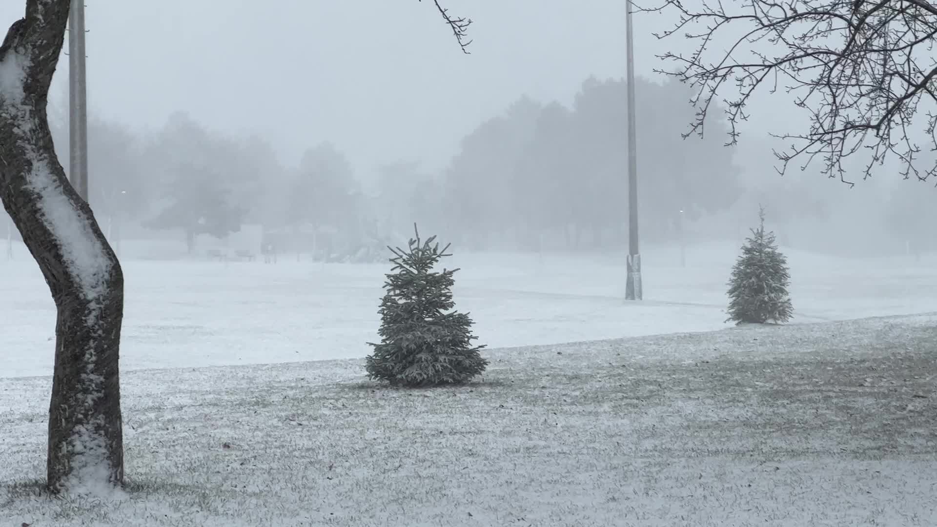 First snowfall of the season in Toronto