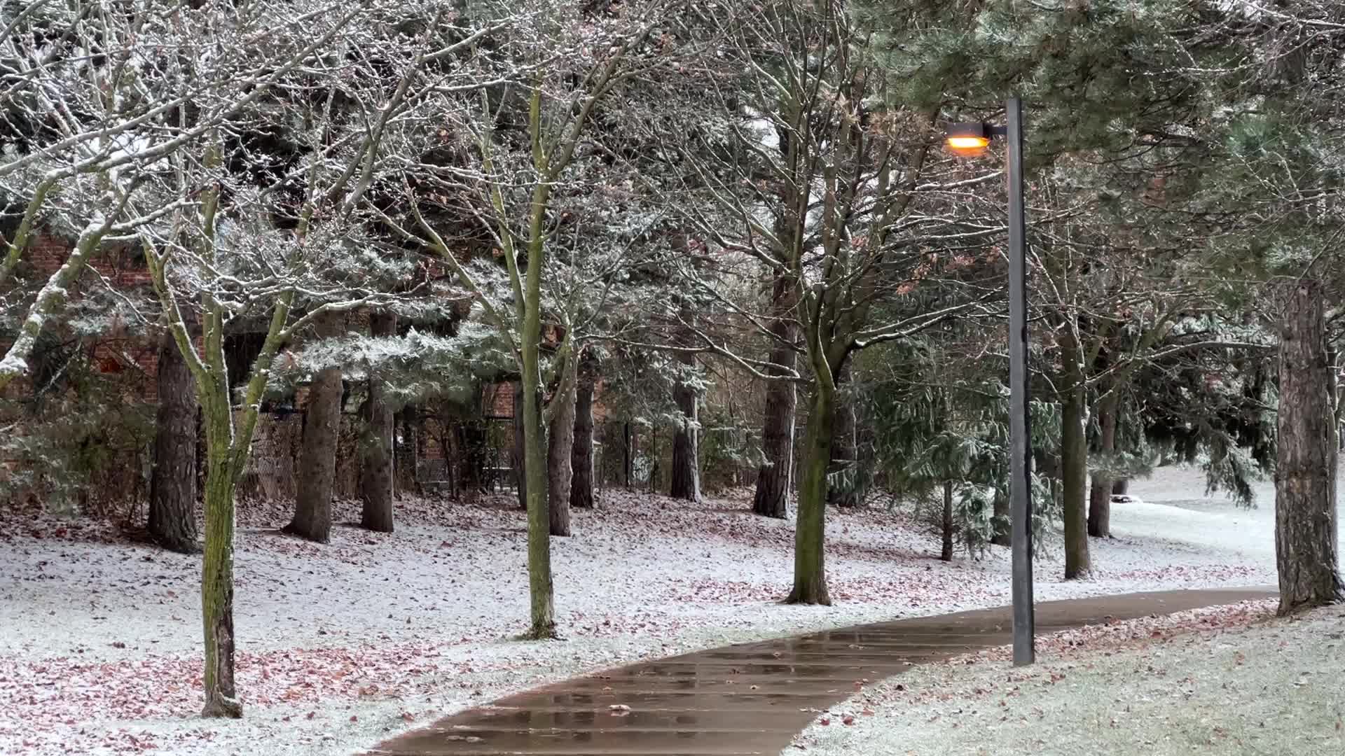 First snowfall of the season in Toronto