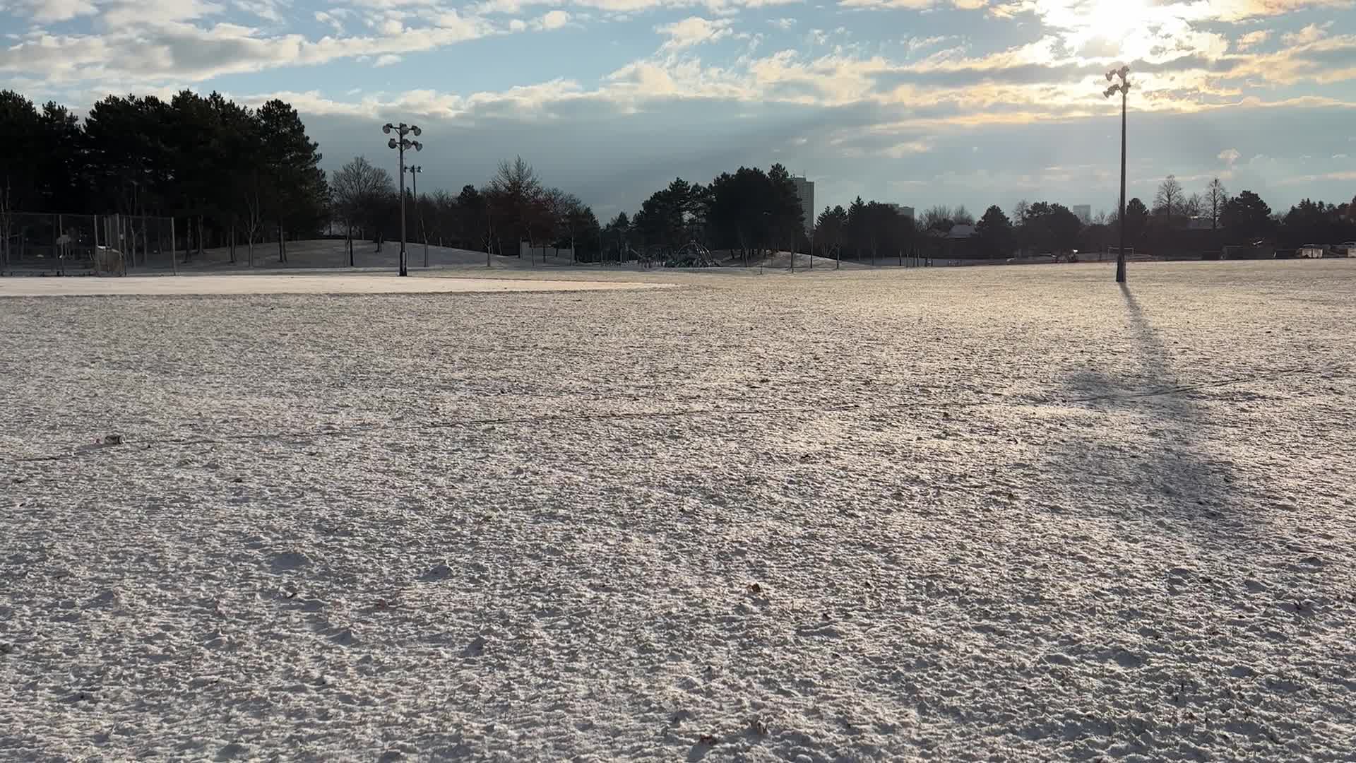 First snowfall of the season in Toronto