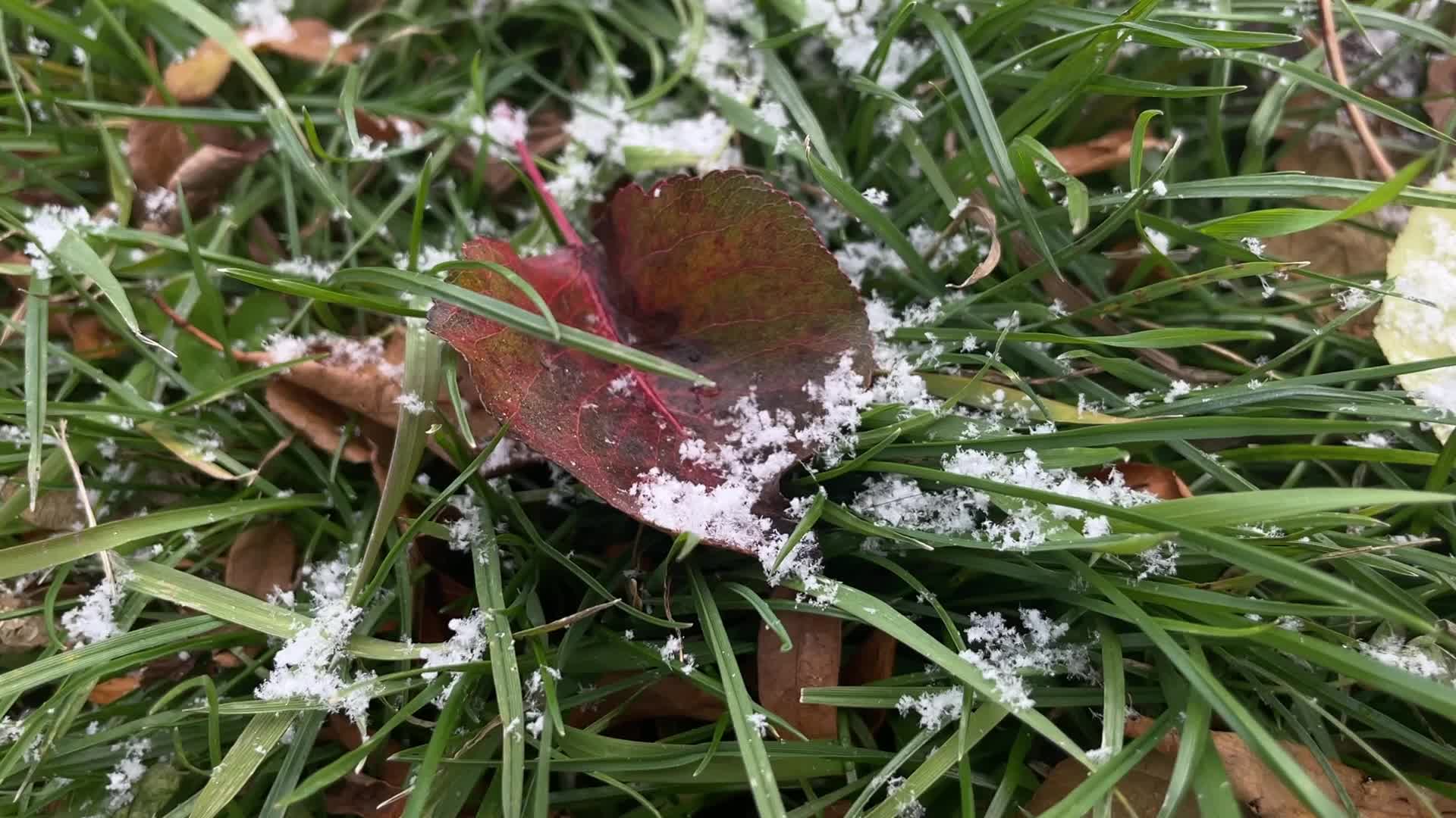 Flurries seen in Toronto, Canada