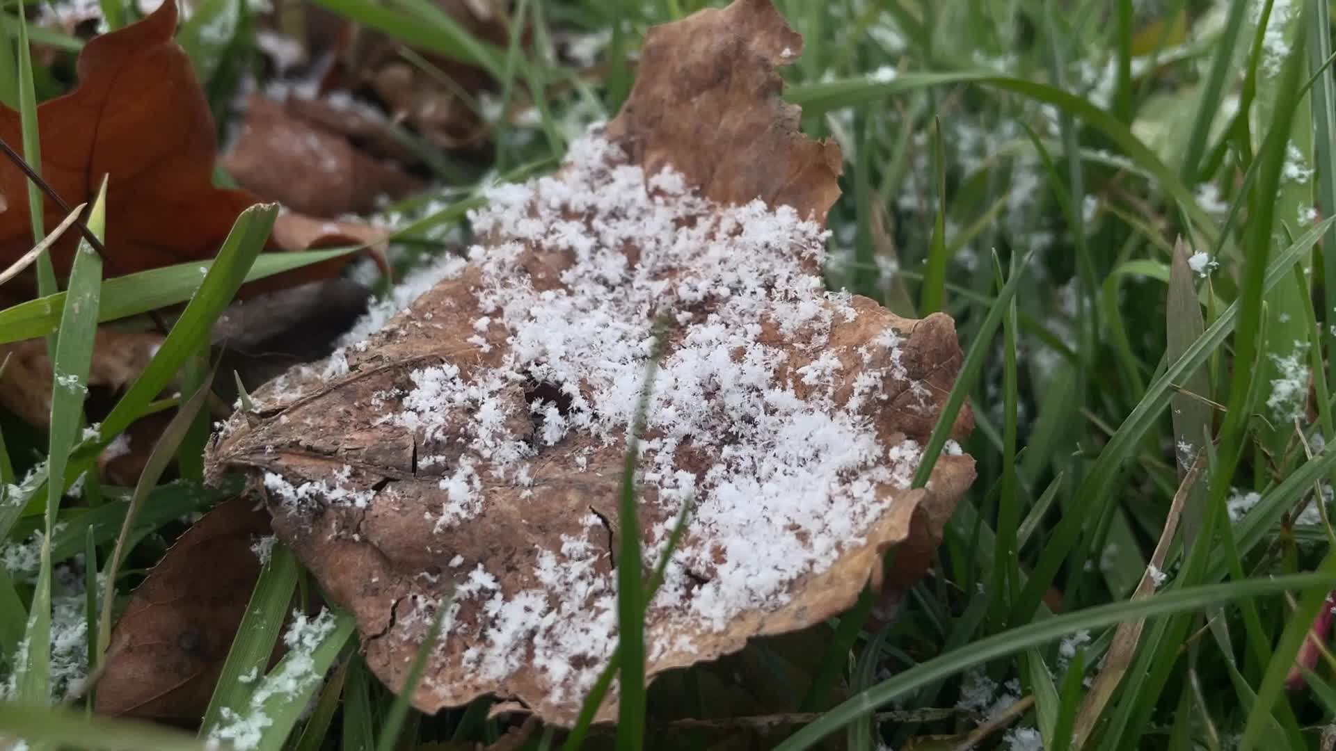 Flurries seen in Toronto, Canada