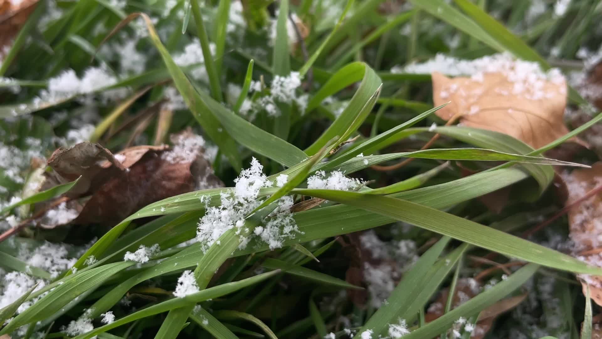Flurries seen in Toronto, Canada