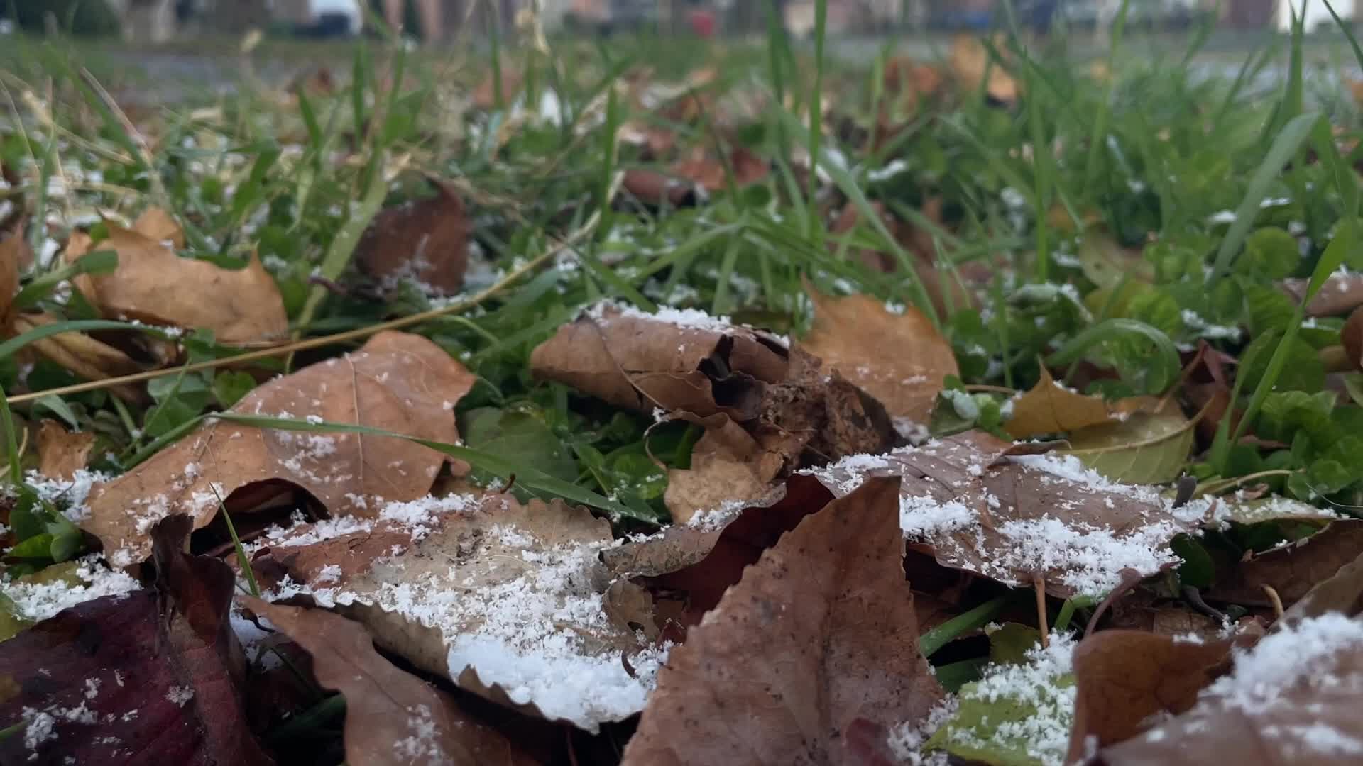 Flurries seen in Toronto, Canada